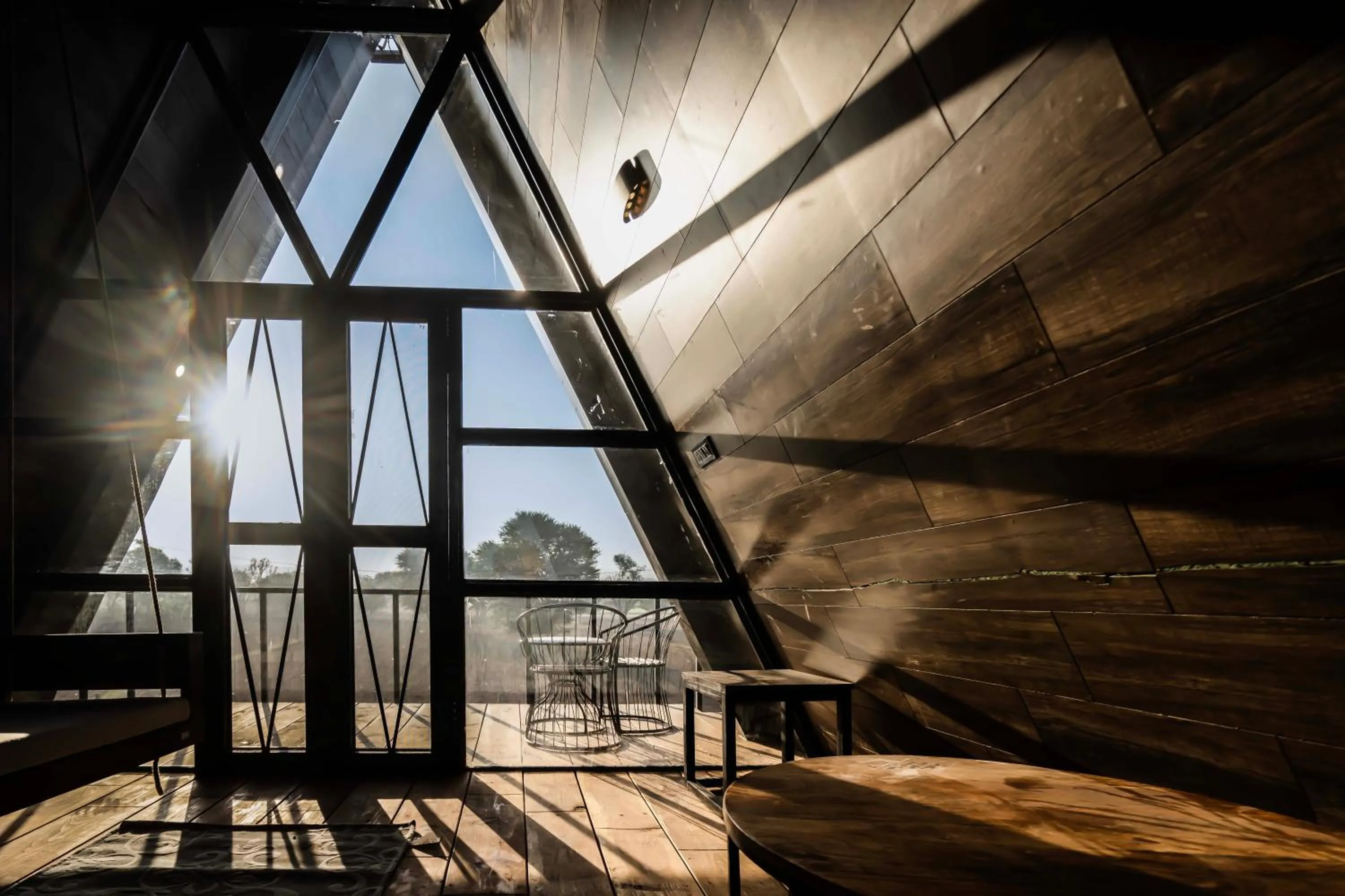 Day in Sunflower Saga