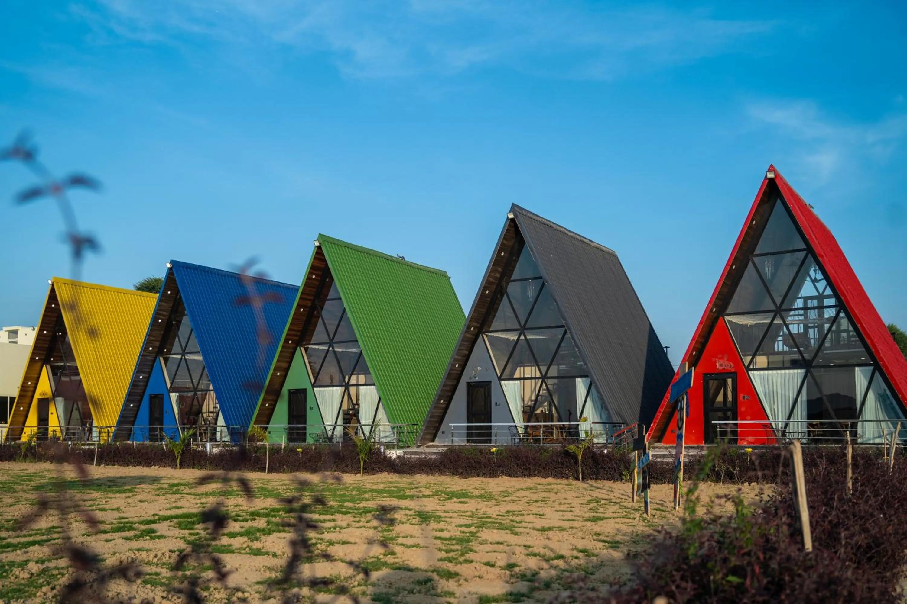 Day in Sunflower Saga