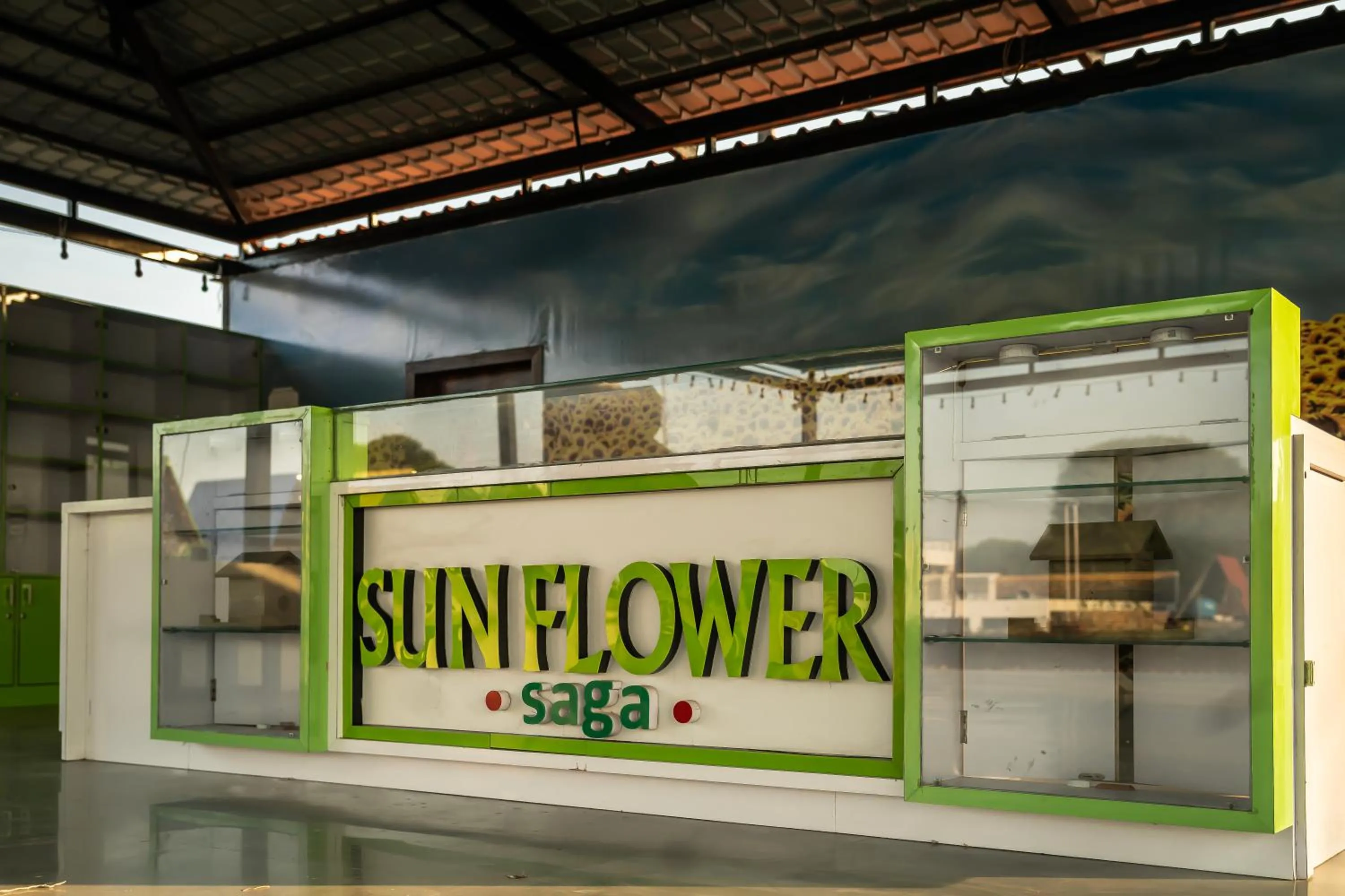 Day in Sunflower Saga