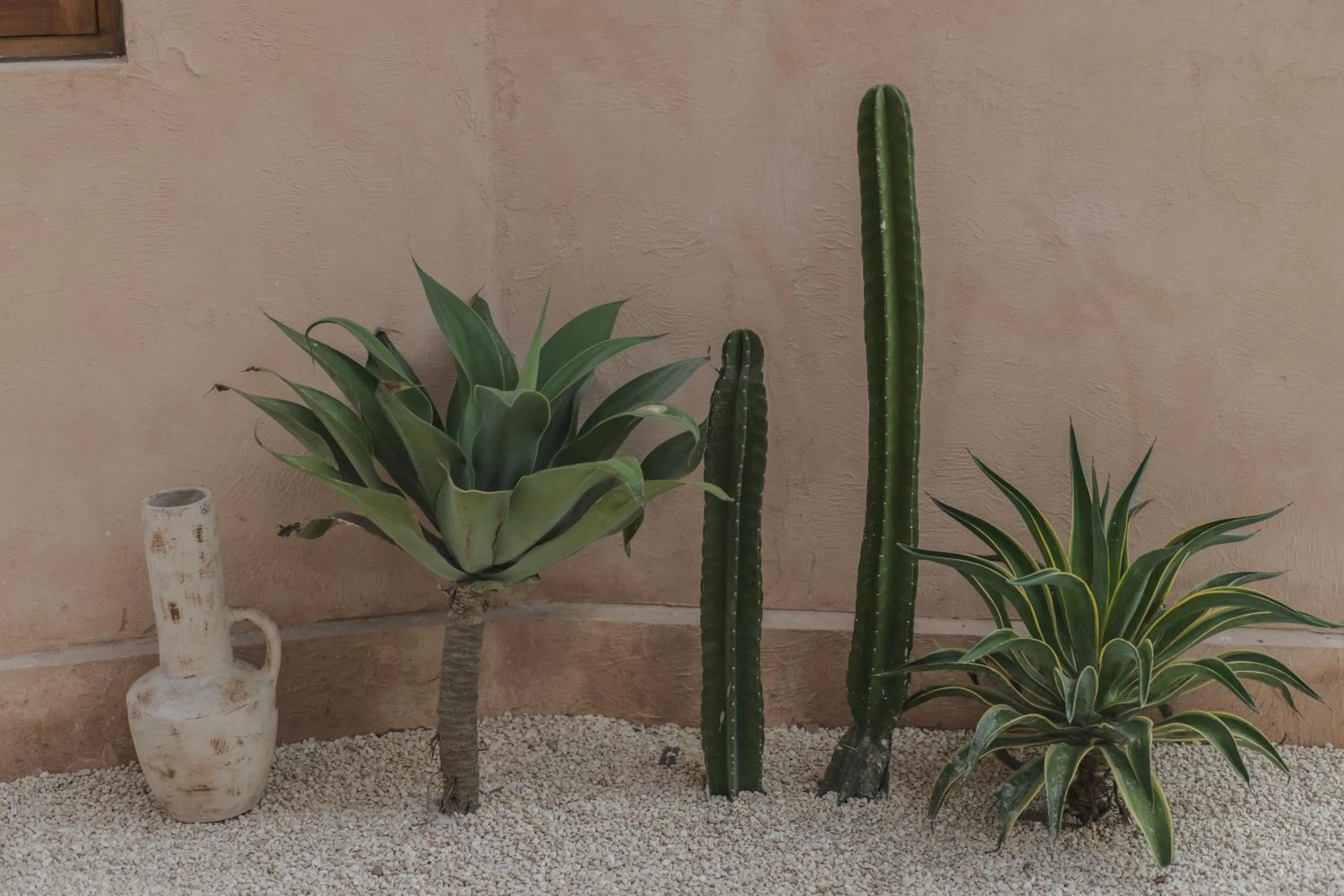 Garden in Dune Seseh
