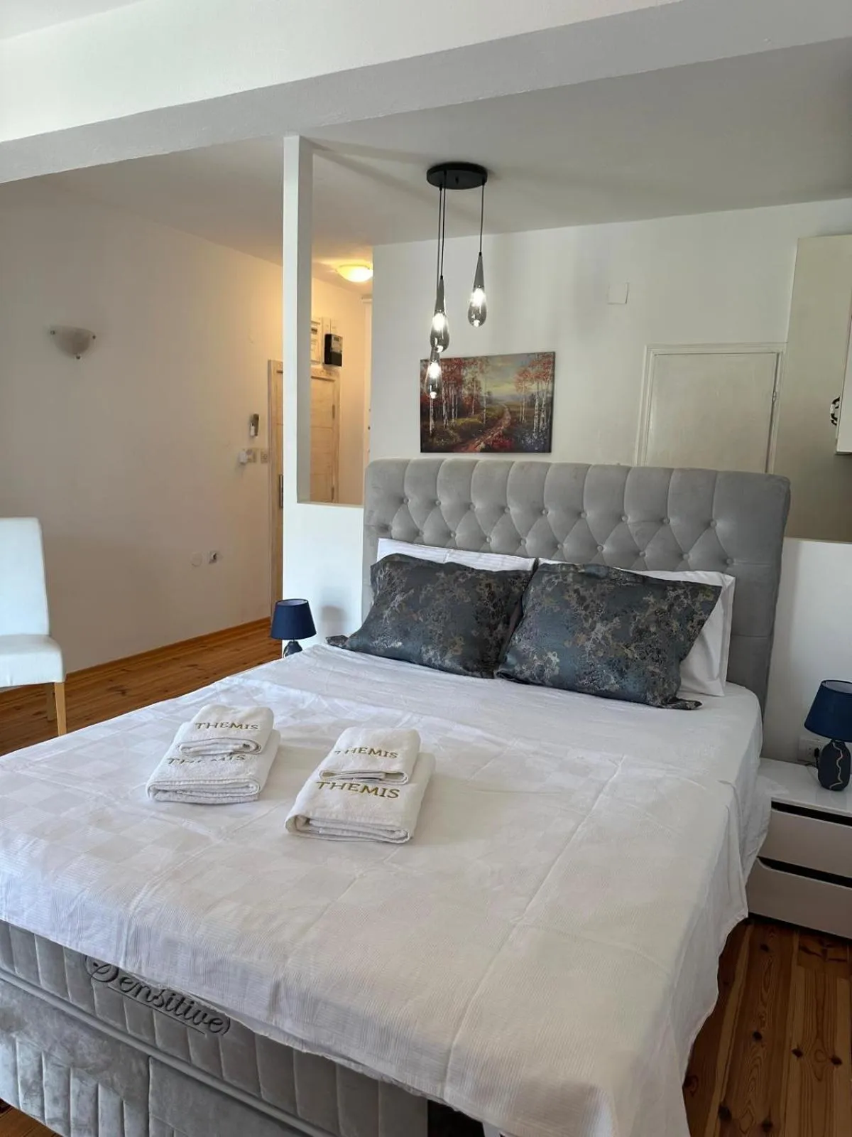 Photo of the whole room in Themis Apartment