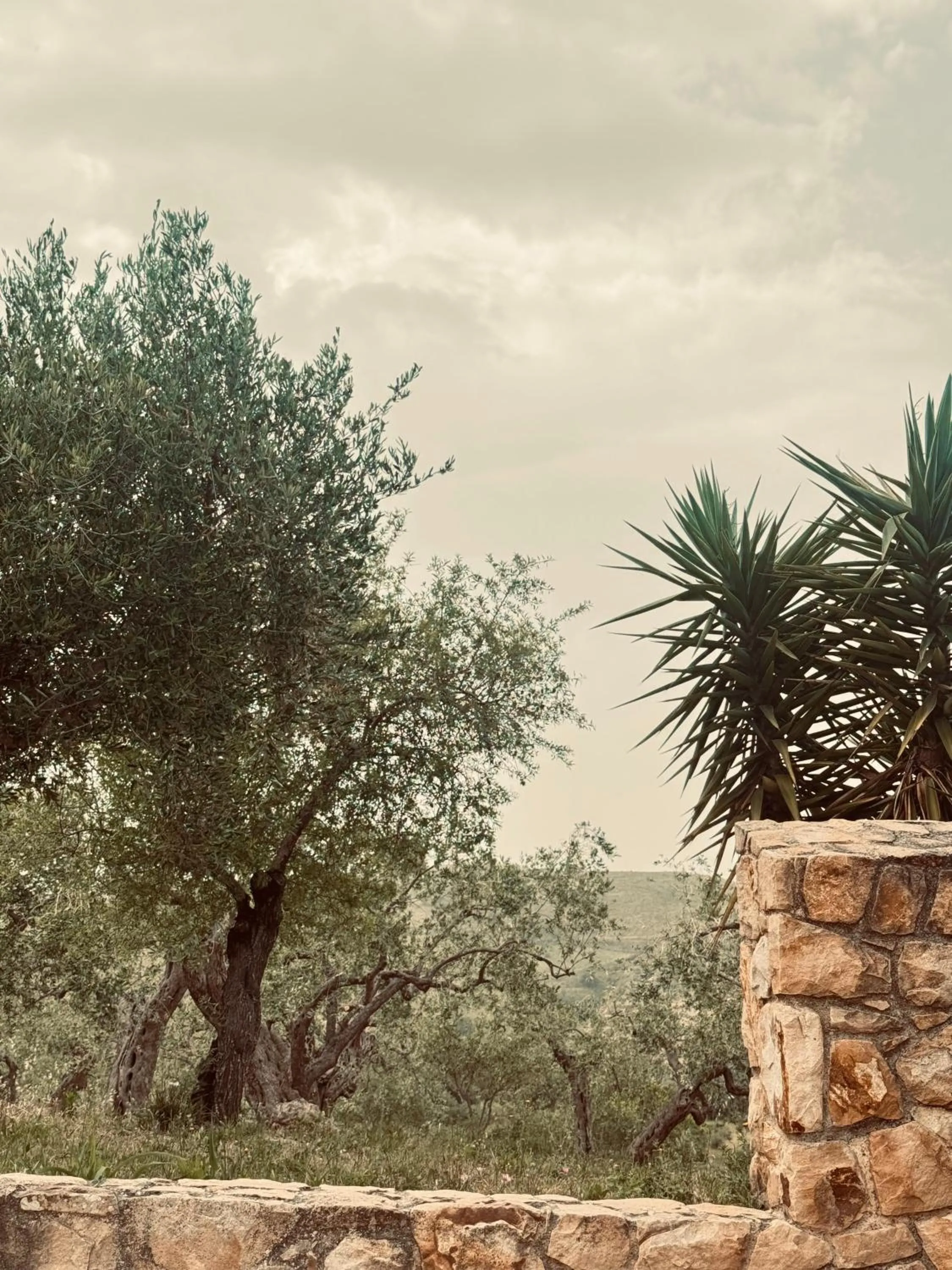Villa Cattleya
