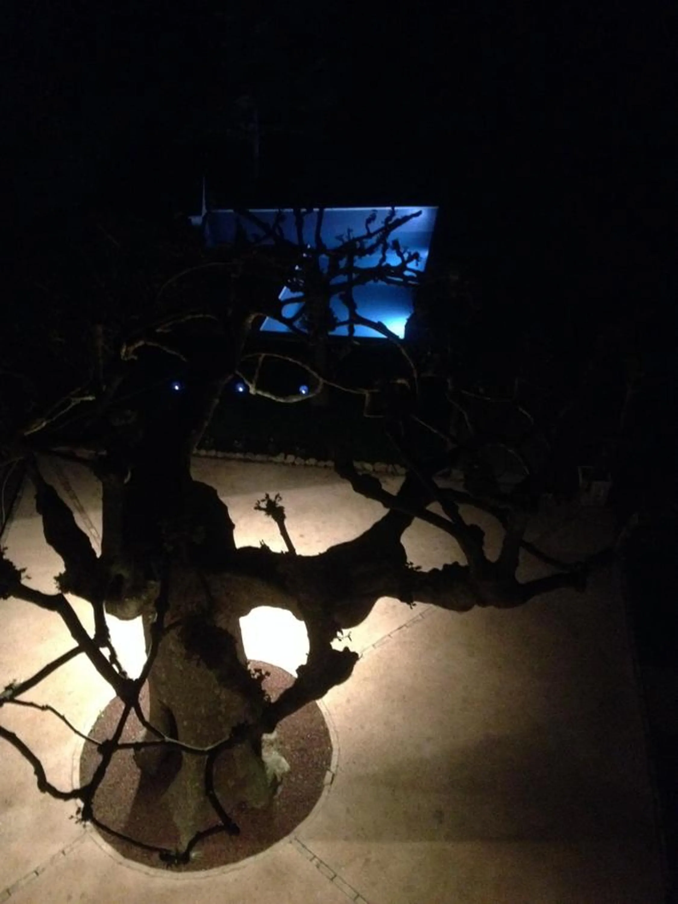 Pool view in L'Abri du Poète