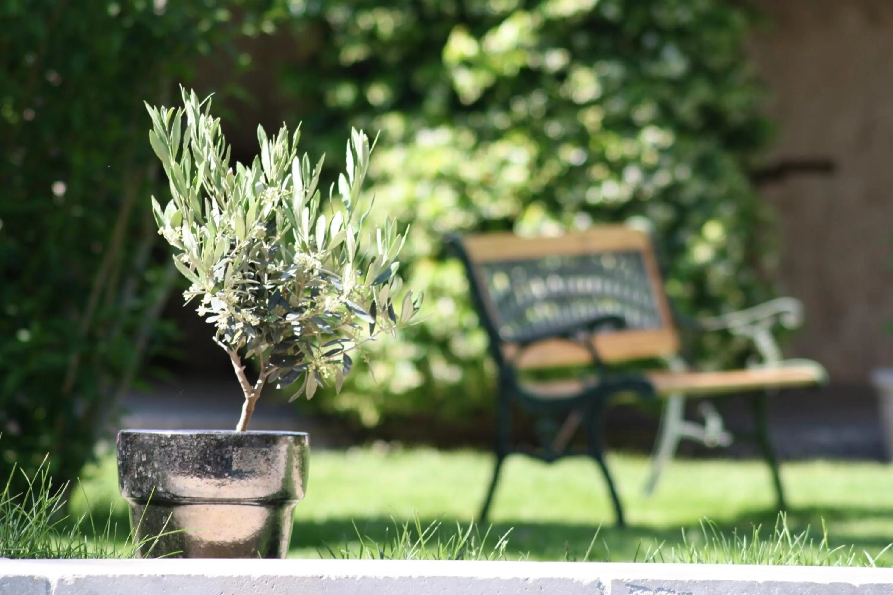 Garden in L'Abri du Poète