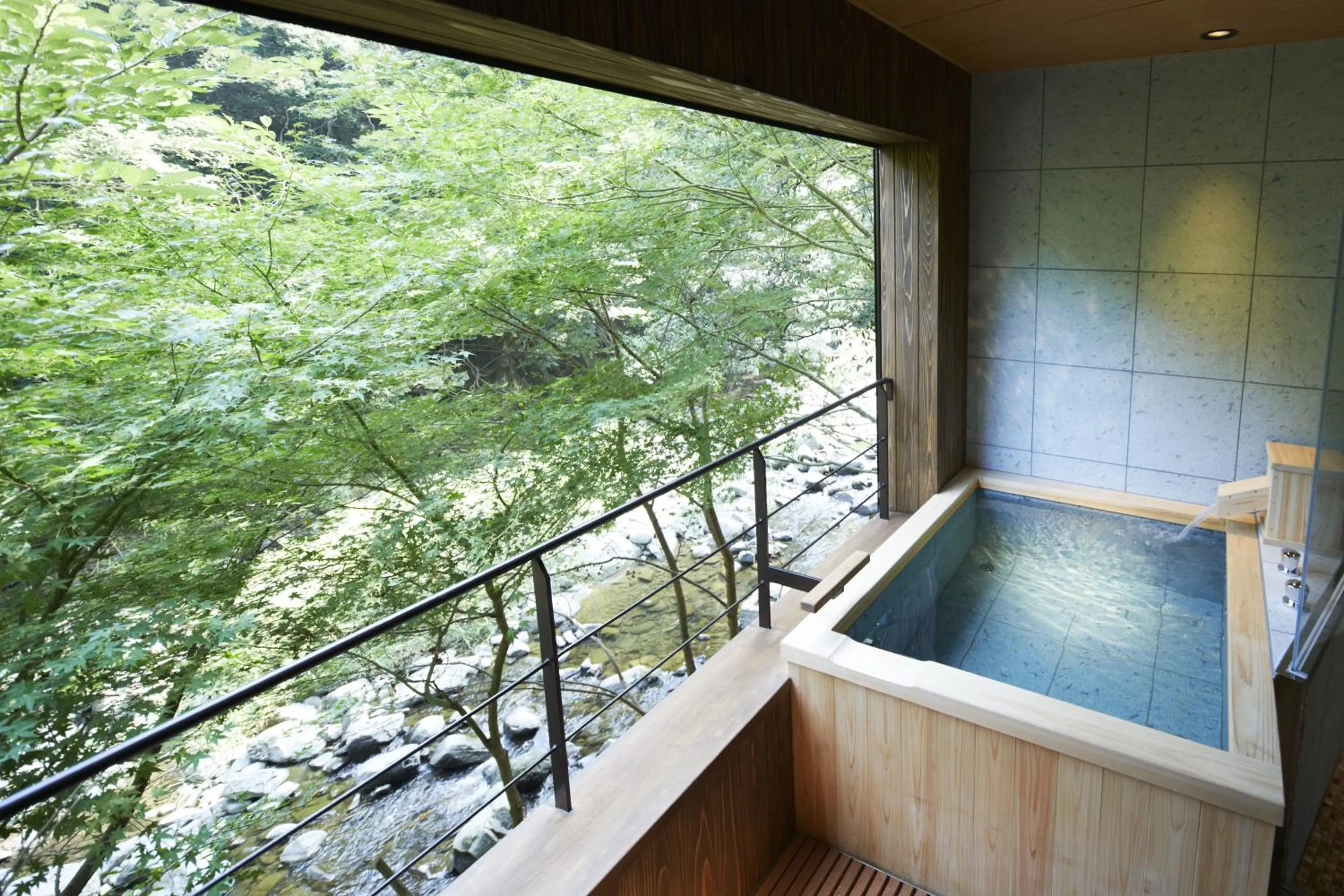 Hot Spring Bath in Fudoguchikan