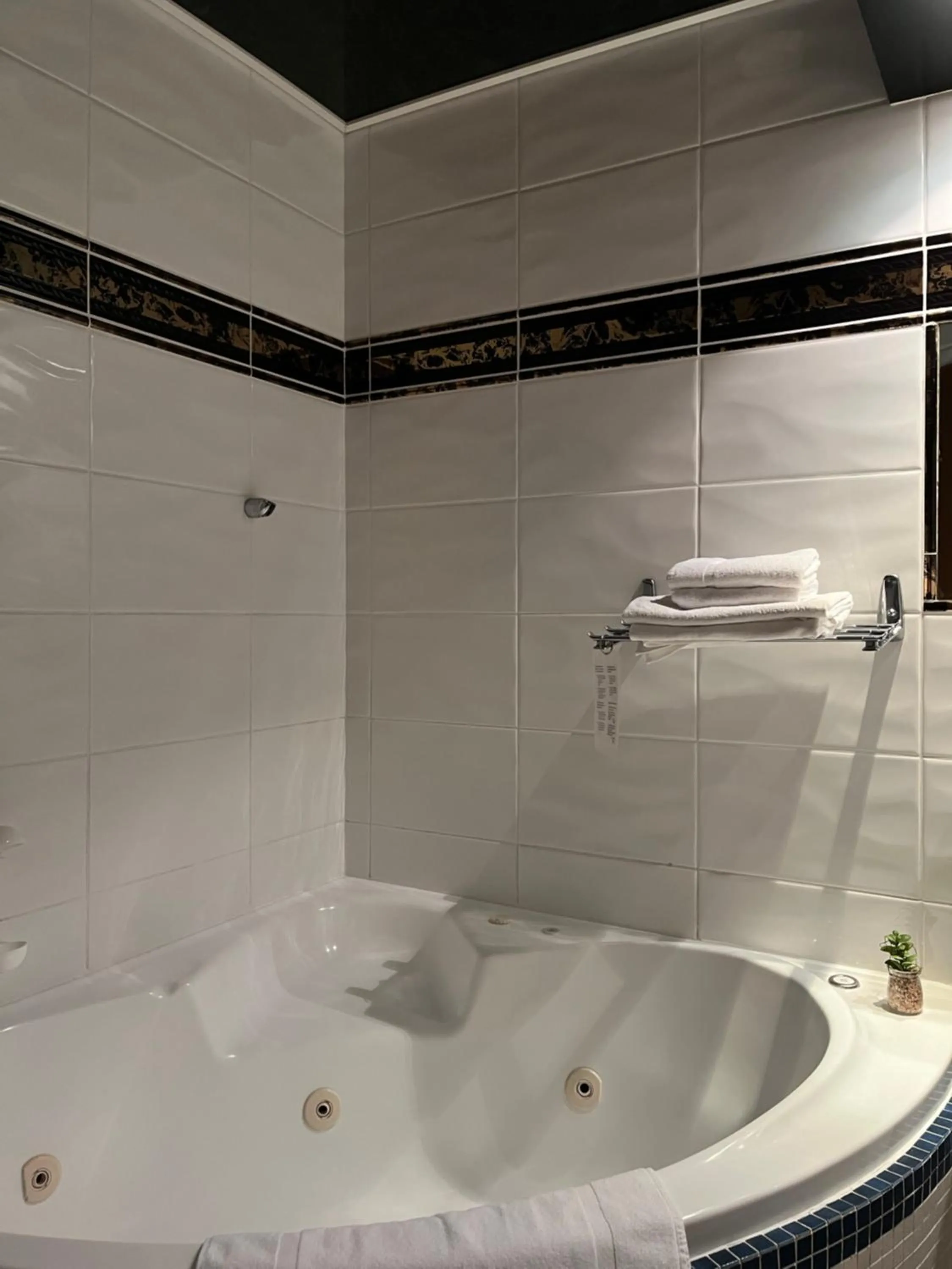 Bath in Le Château du Landsberg