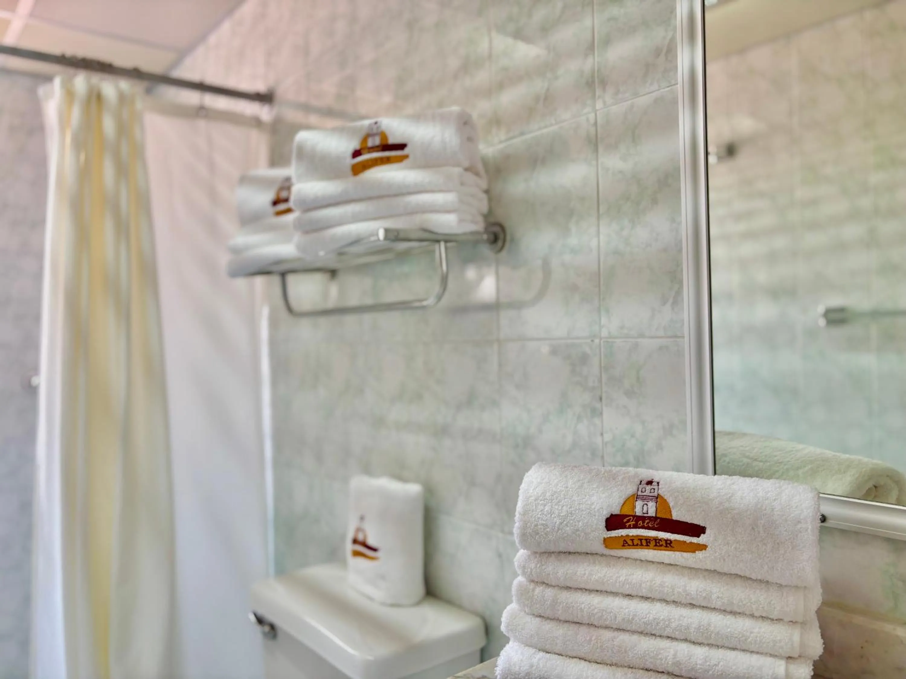 Shower in Hotel Alifer