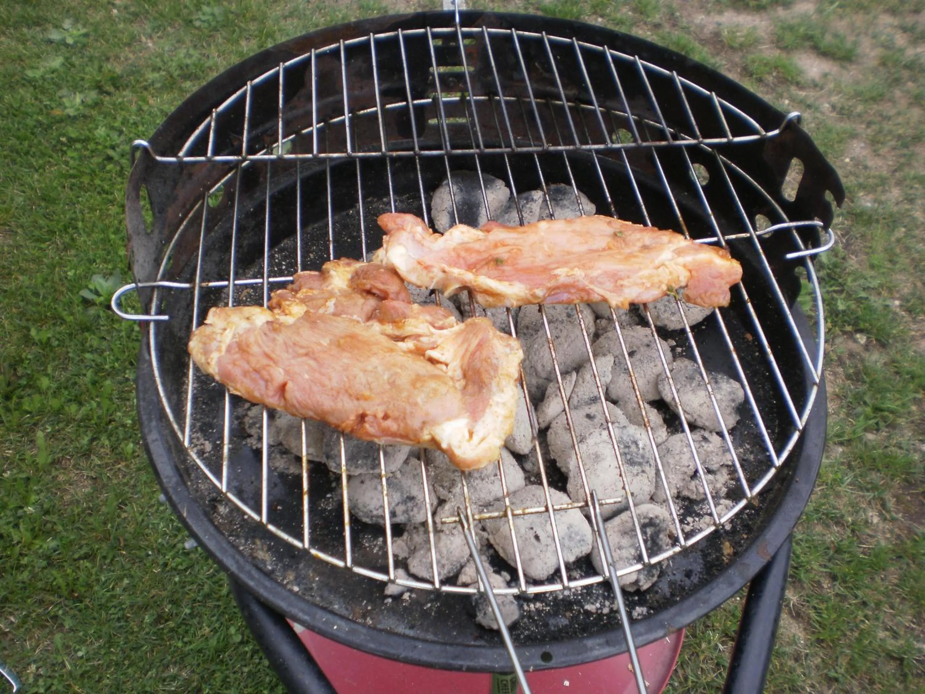 BBQ facilities in Privat Buk 100