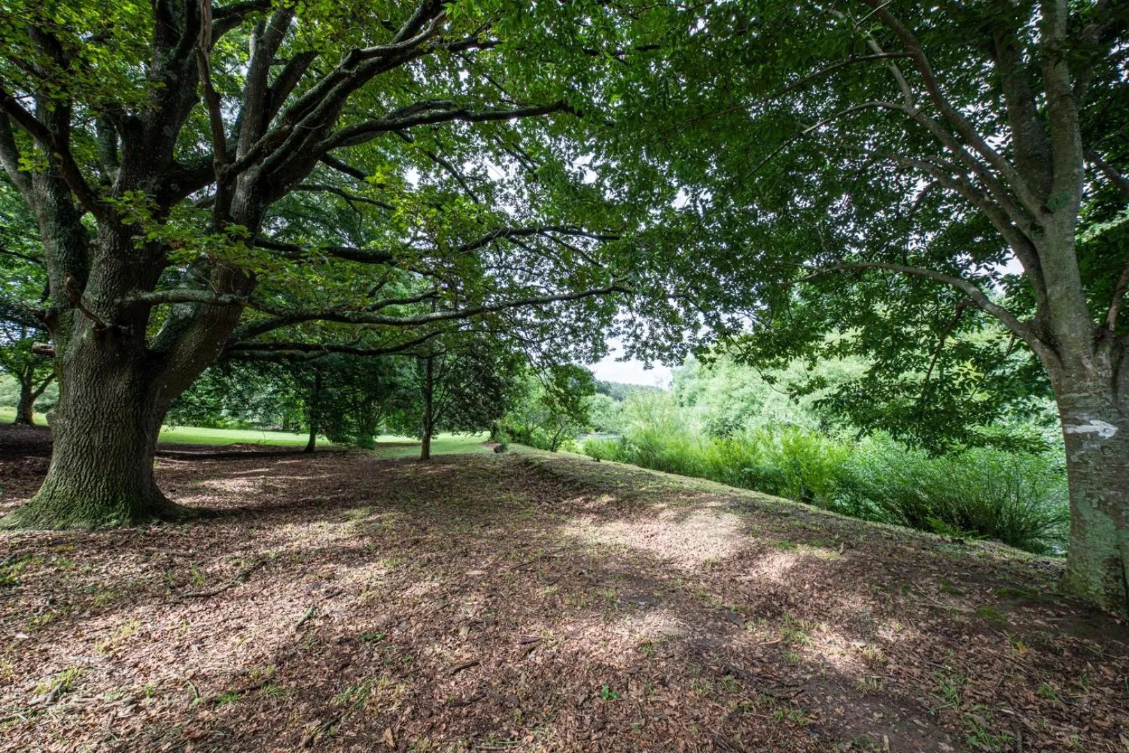 Garden in Waterford Manor