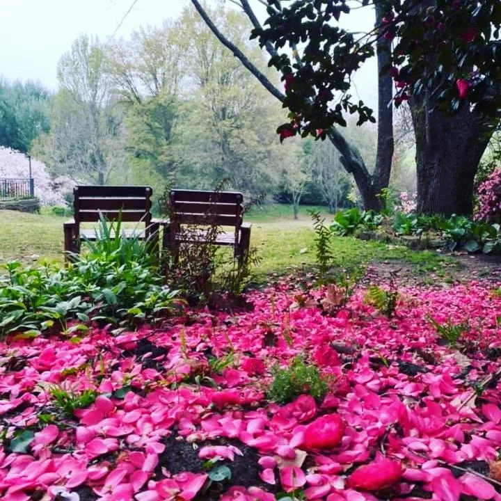 Garden in Waterford Manor
