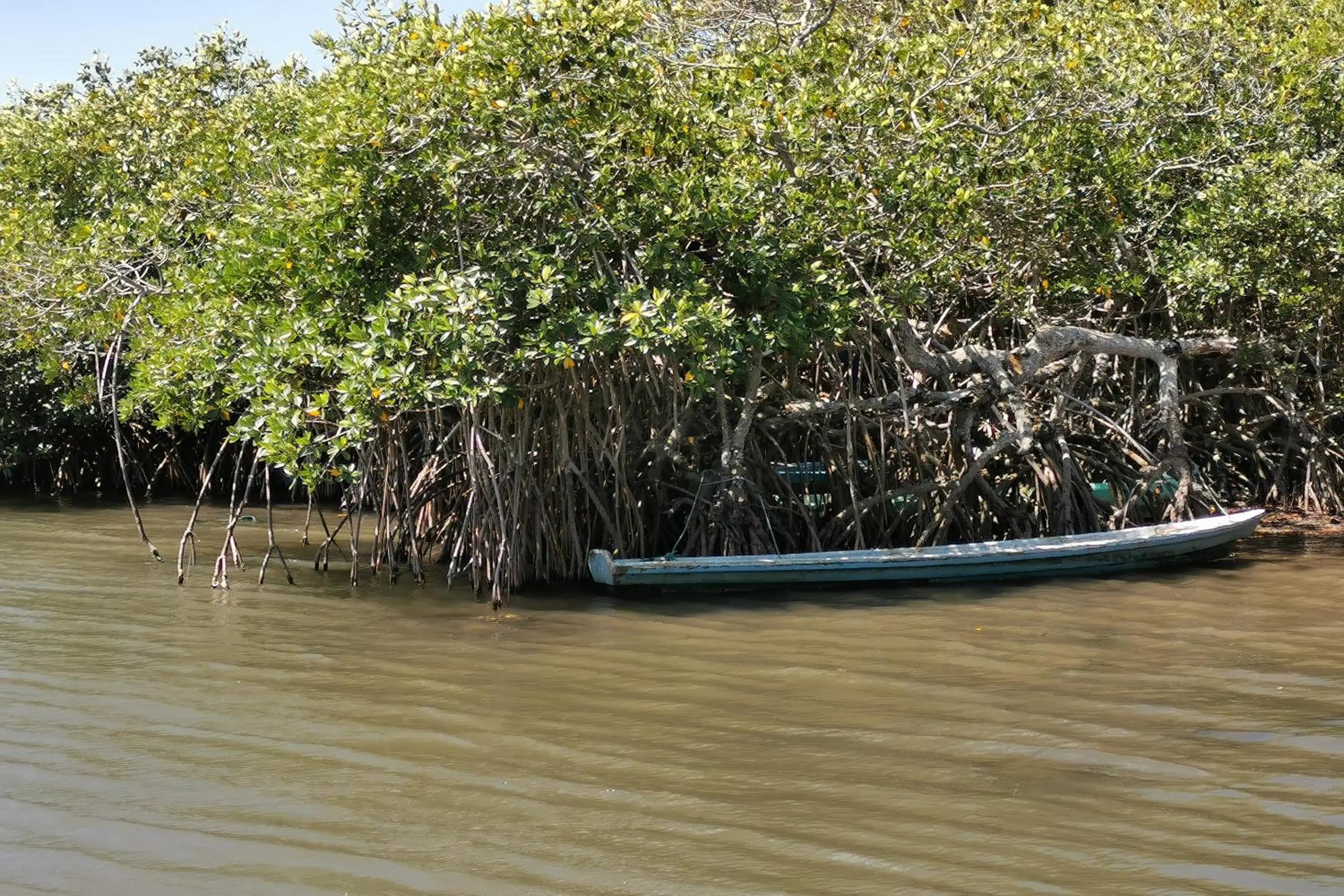 Natural landscape in Rancho Hotel El Carmen