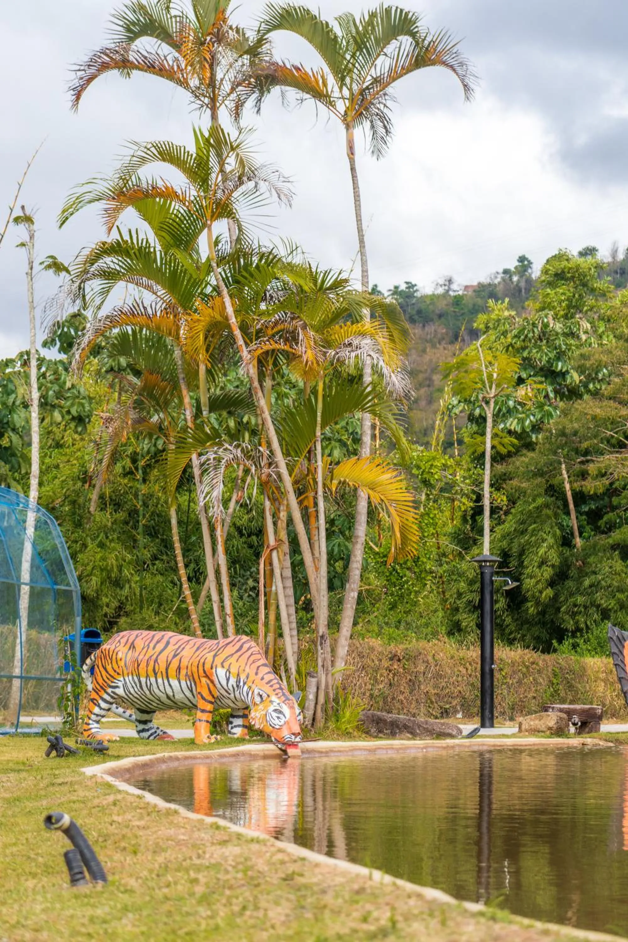 Natural landscape in Castelo de Itaipava - Hotel, Eventos e Gastronomia