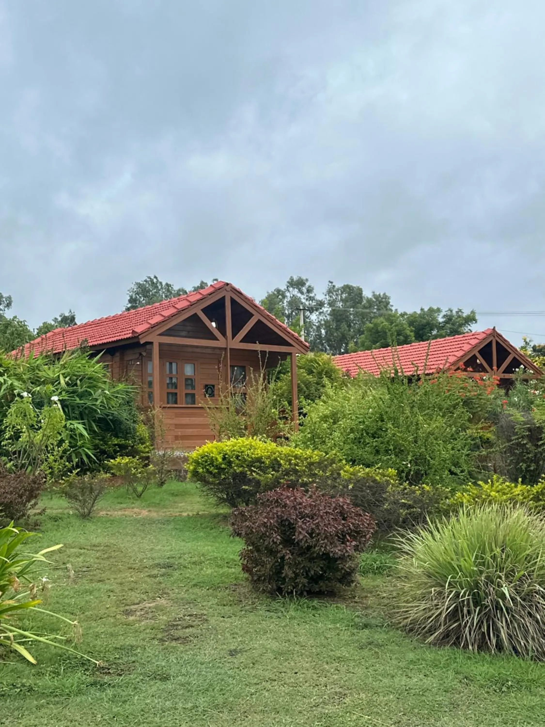 Property building in Leo wooden resorts