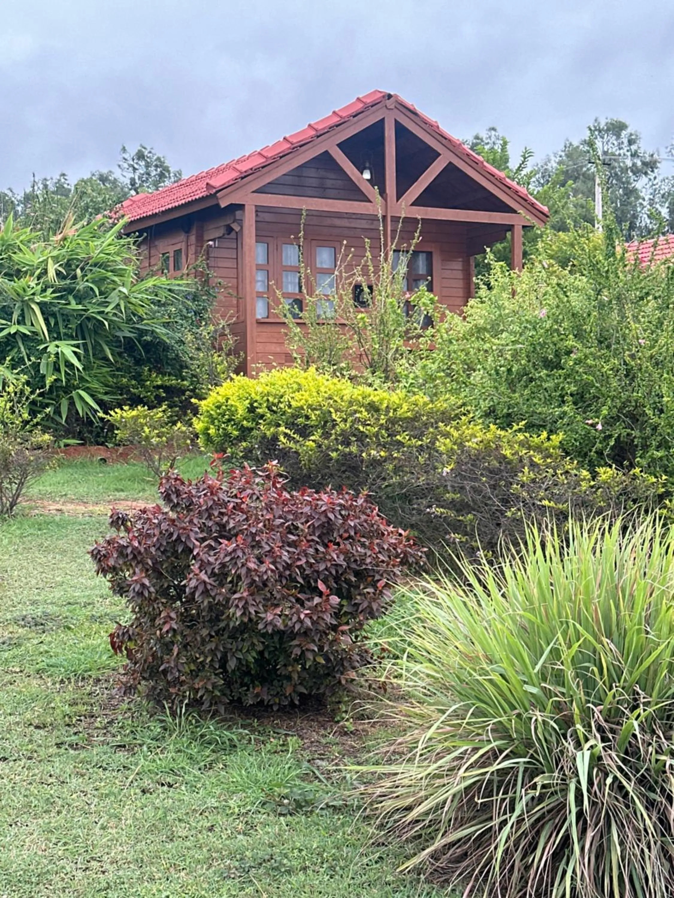 Leo wooden resorts