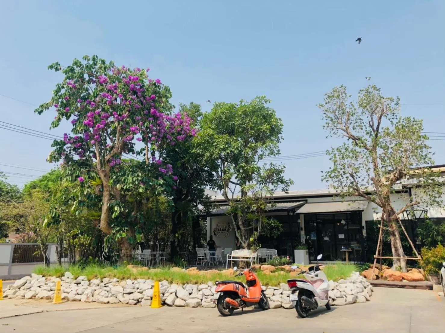 Natural landscape in Tone Condorent Hotel