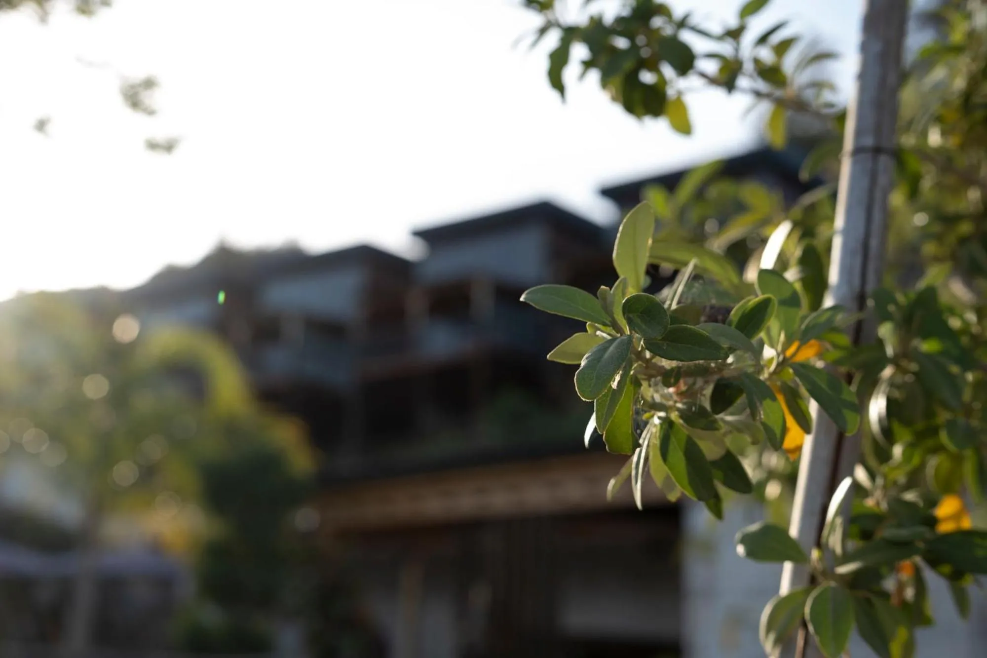 Property building in La Veranda Villas