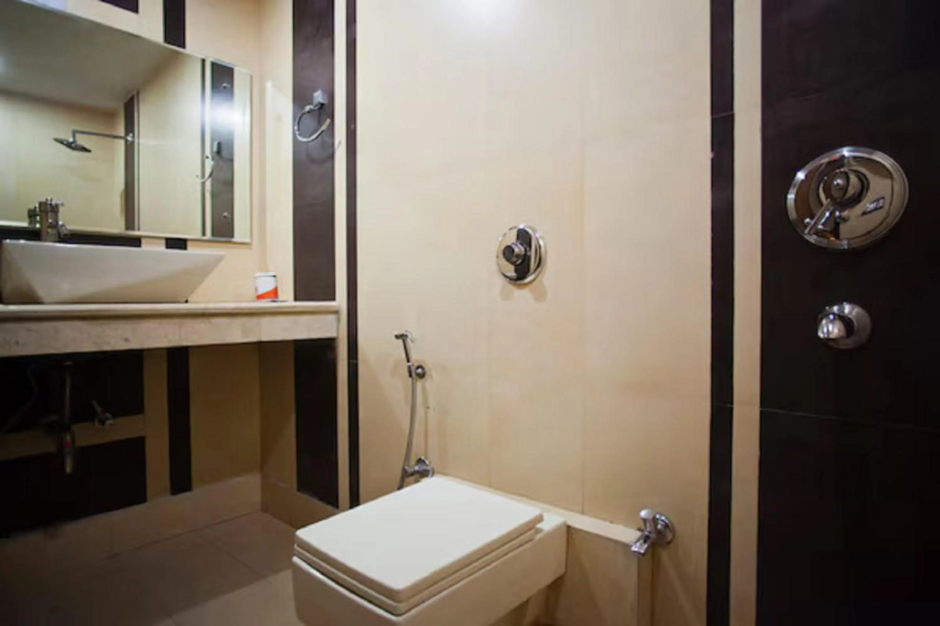 Shower, Bathroom in Hotel Shivdev International
