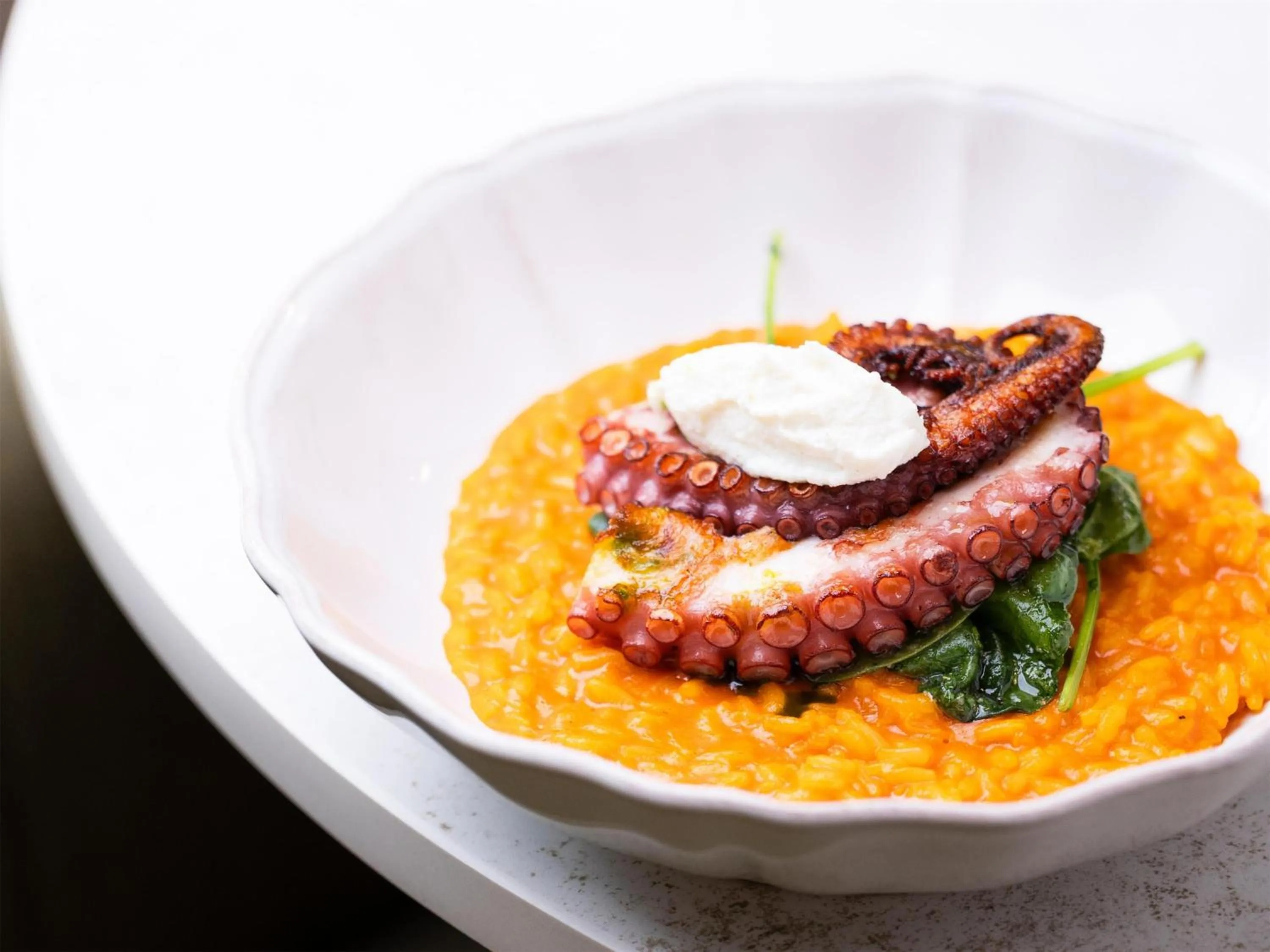 Food and drinks in Radisson RED Hotel & Radisson RED Apartments, Kraków