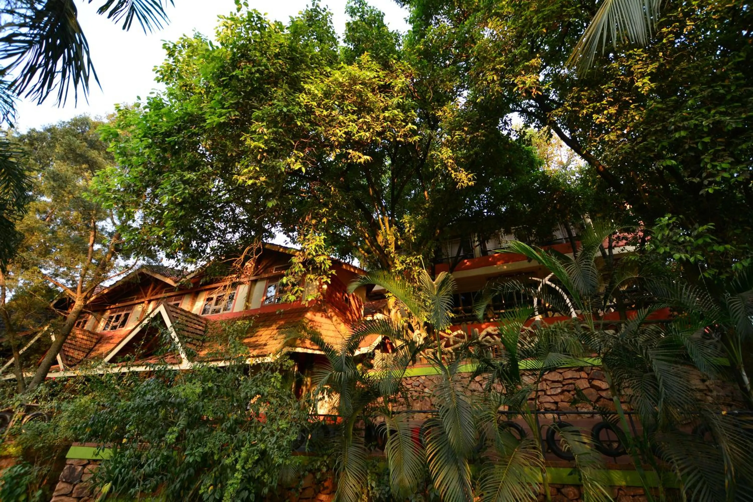 Property building in Forest Cottages