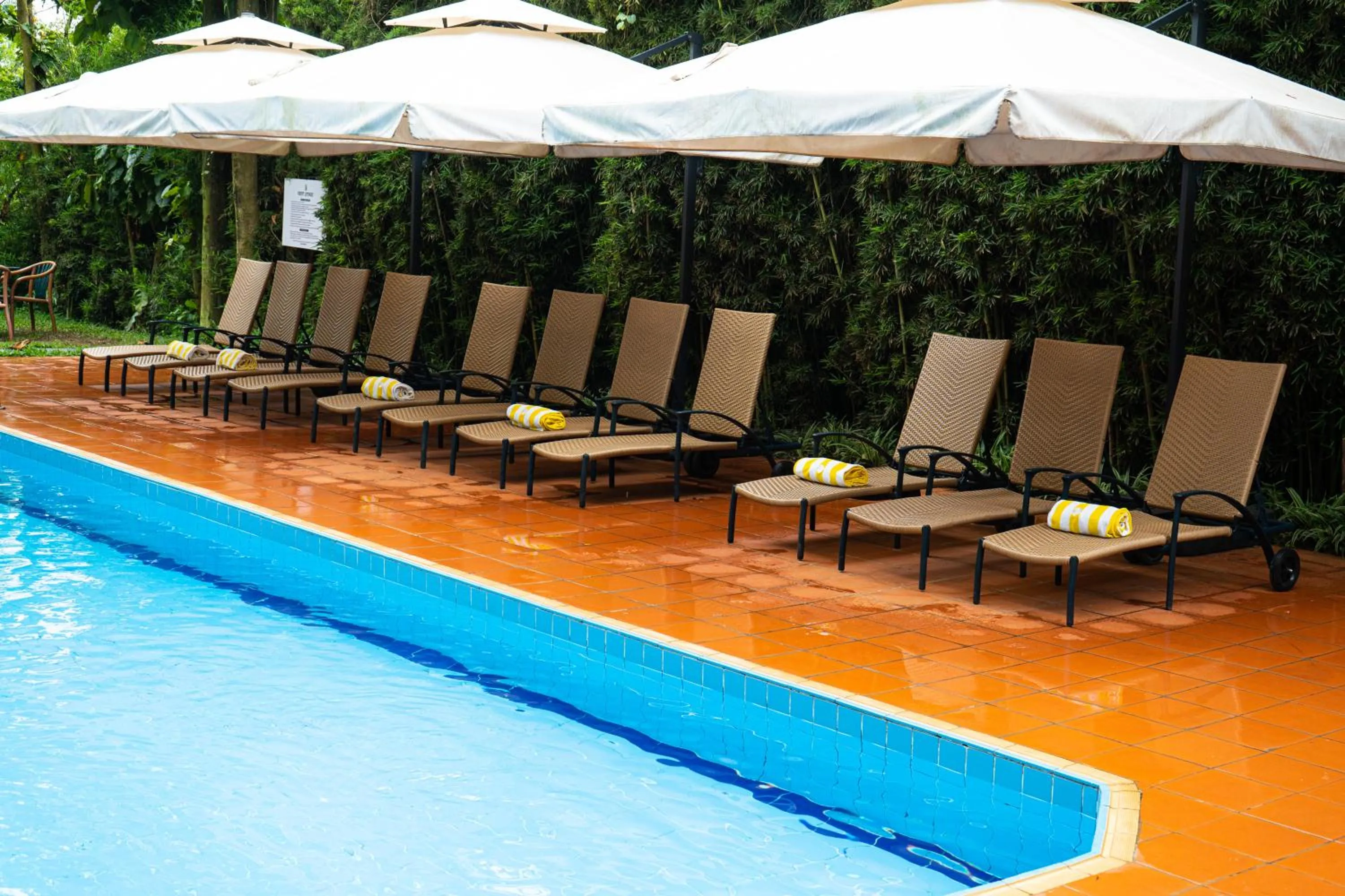 Day in Forest Cottages