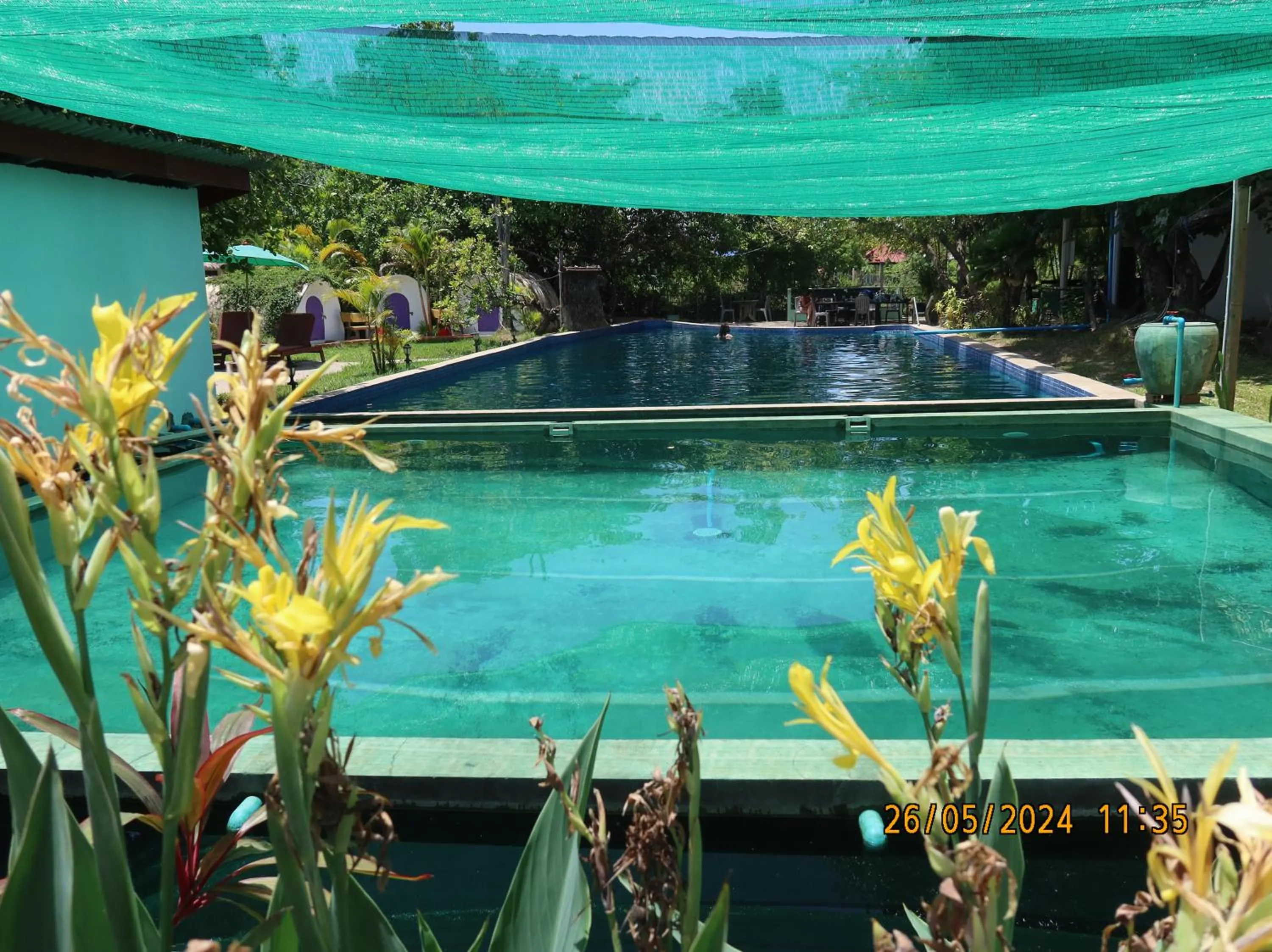Swimming pool in Bohemiaz Resort and Spa Kampot