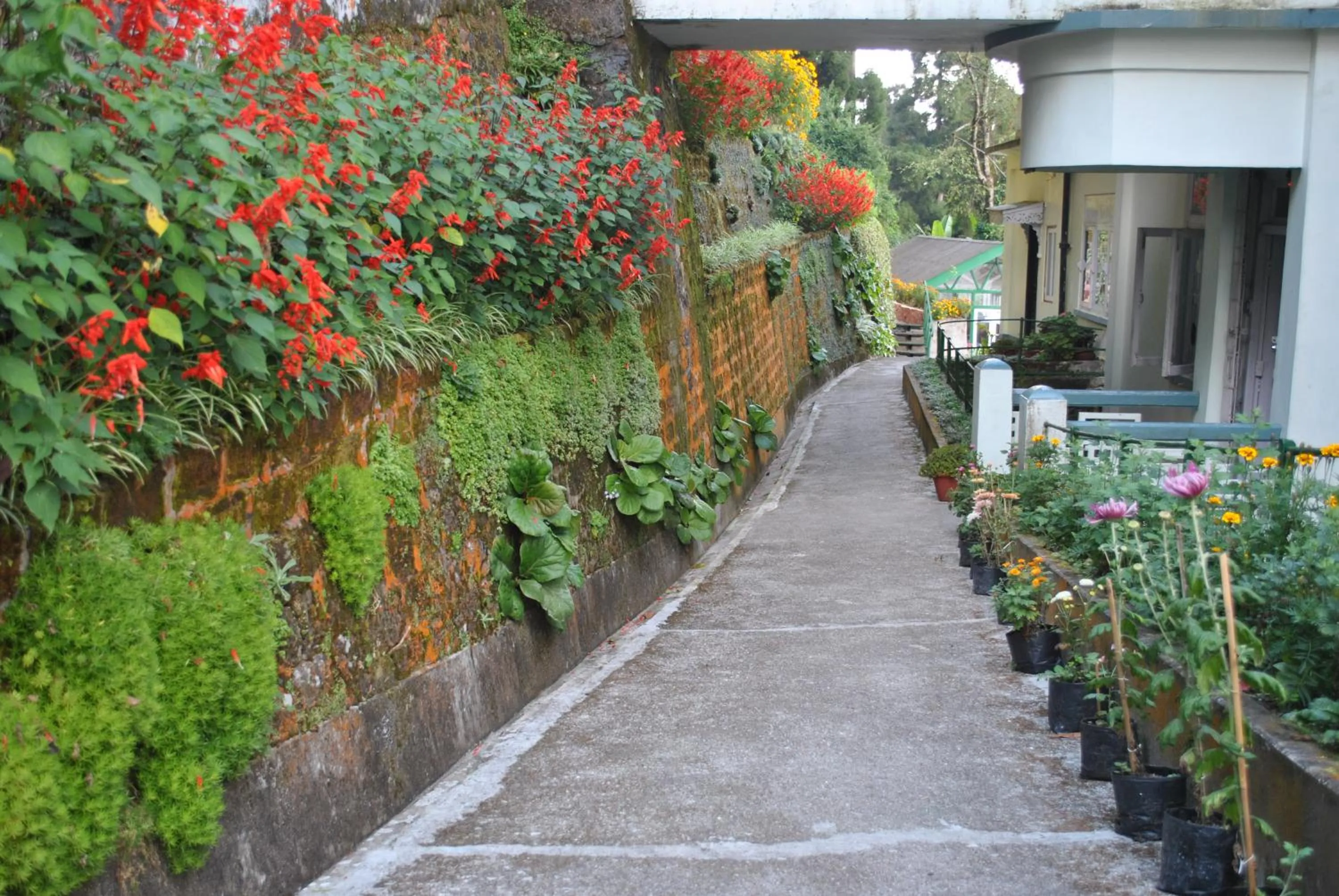 Garden in Central Gleneagles Heritage Resort Former Bungalow of Ex-TATA Chairman Russi Mody The Mall Road Darjeeling