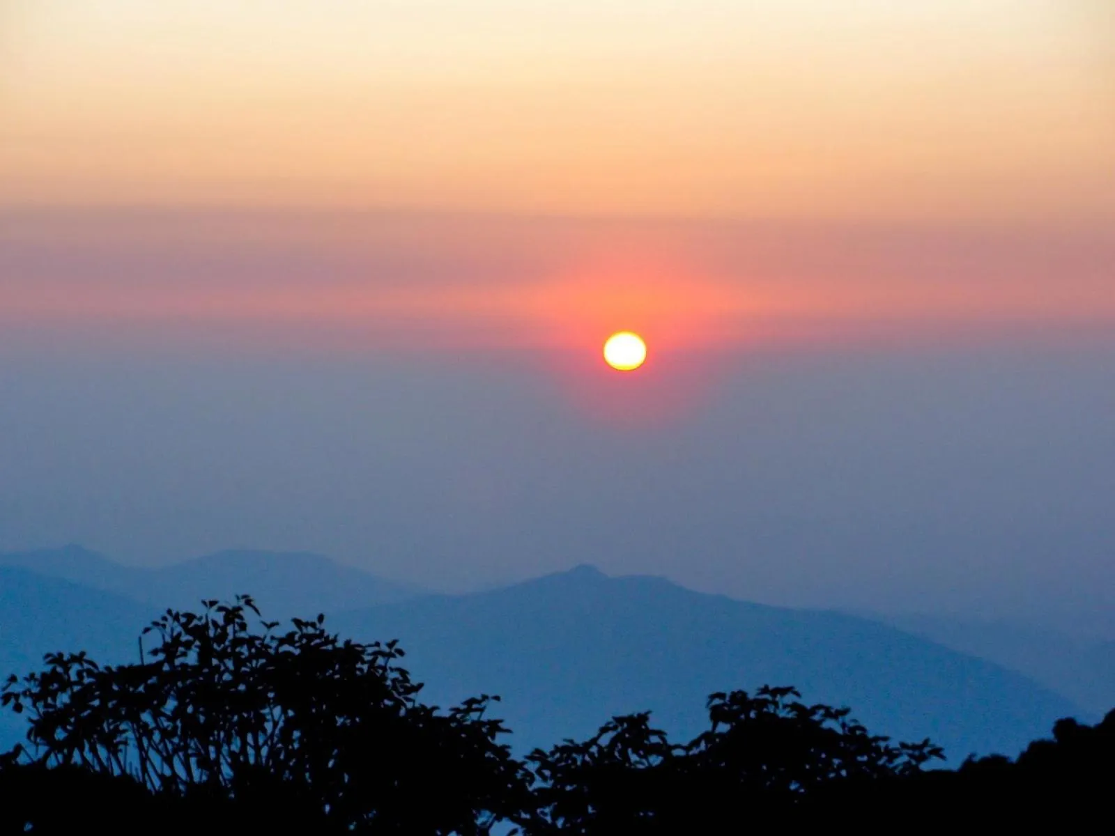 Natural landscape in Central Gleneagles Heritage Resort Former Bungalow of Ex-TATA Chairman Russi Mody The Mall Road Darjeeling