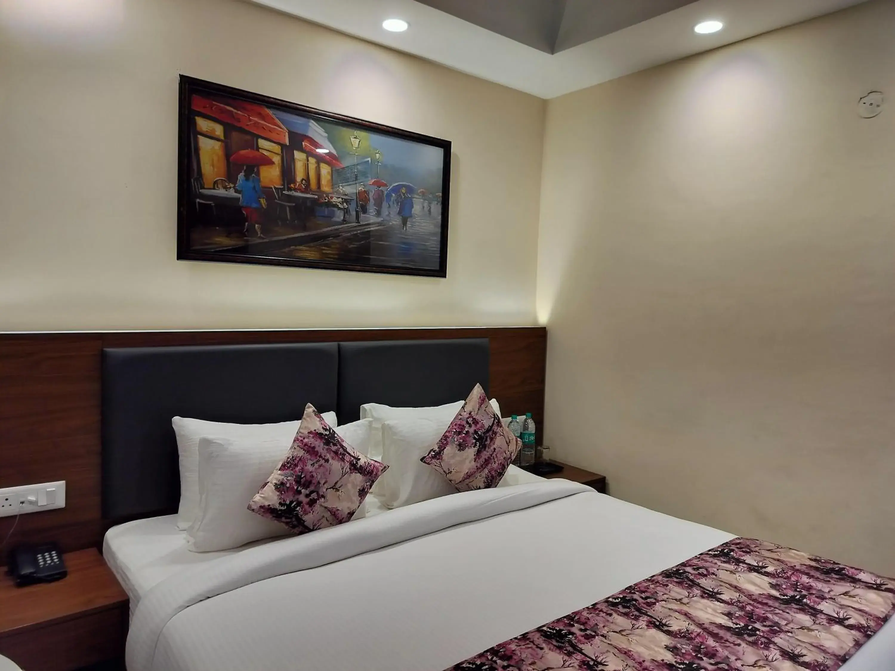Standard Double Room - single occupancy in Hotel Luxe Opera NH8 - 7km from IGI Airport Delhi Standard Double Room - single occupancy in Hotel Luxe Opera NH8 - 7km from IGI Airport Delhi