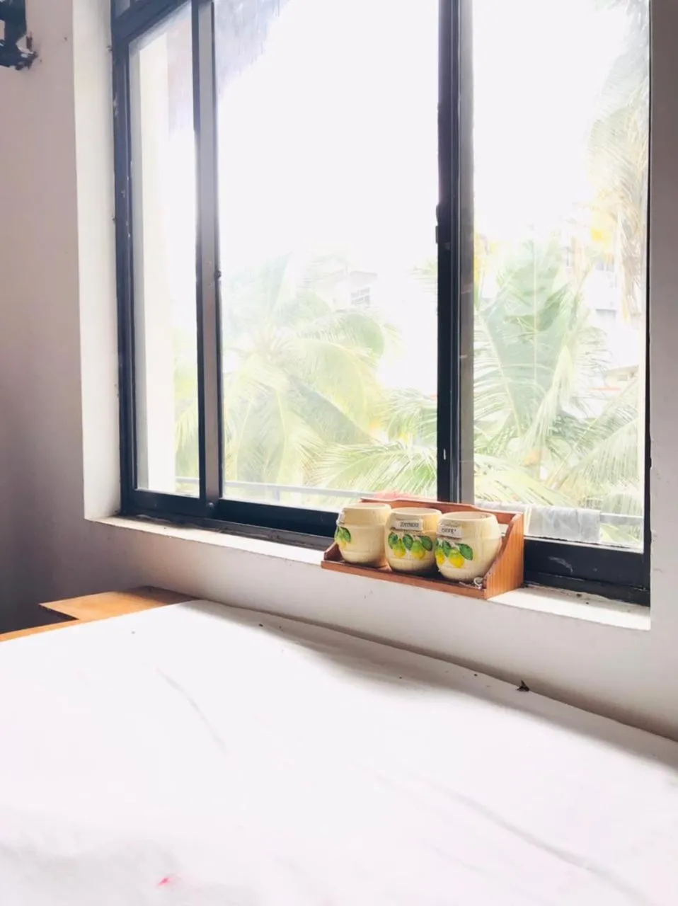 Hotel Ameliya