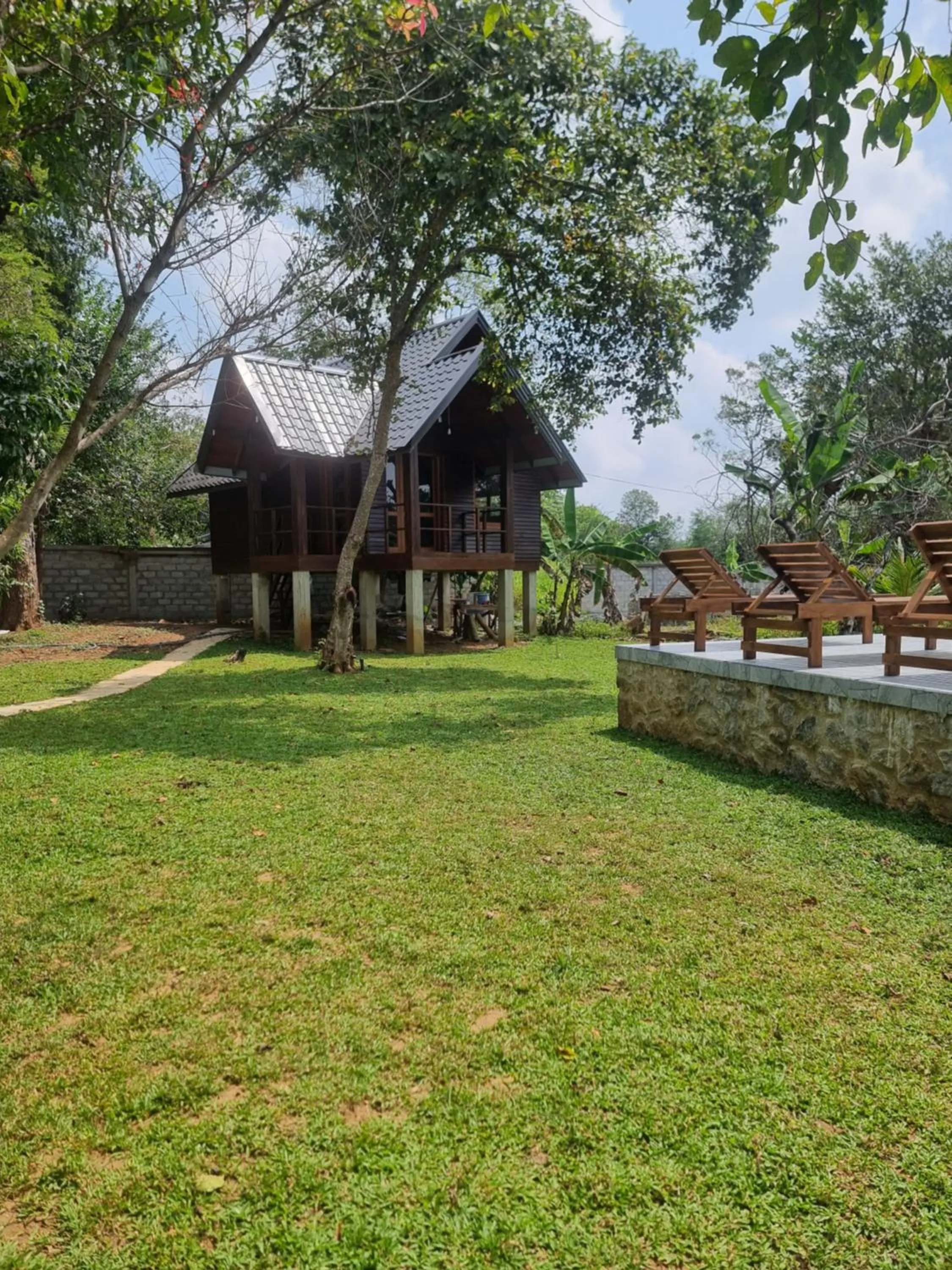 Natural landscape in Liyon Rest sigiriya