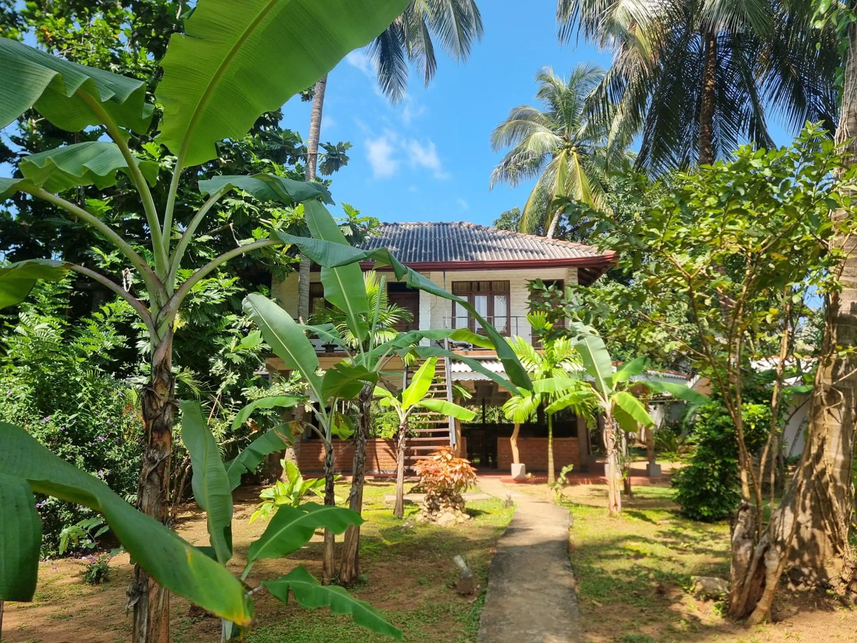 Garden in Liyon Rest sigiriya