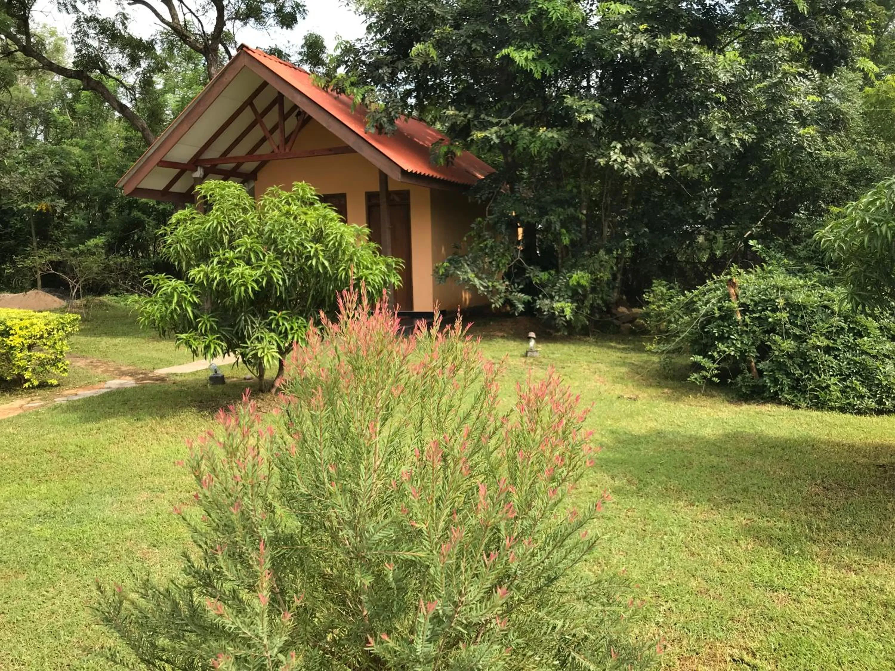 Garden in Liyon Rest sigiriya