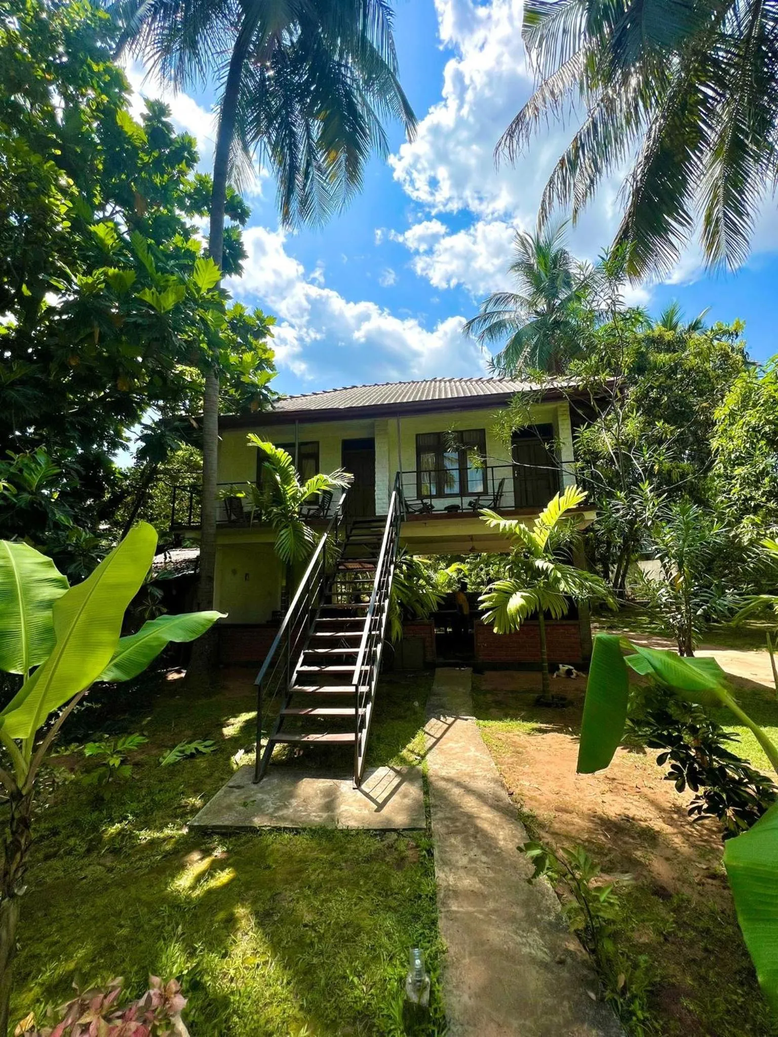 Garden view in Liyon Rest sigiriya