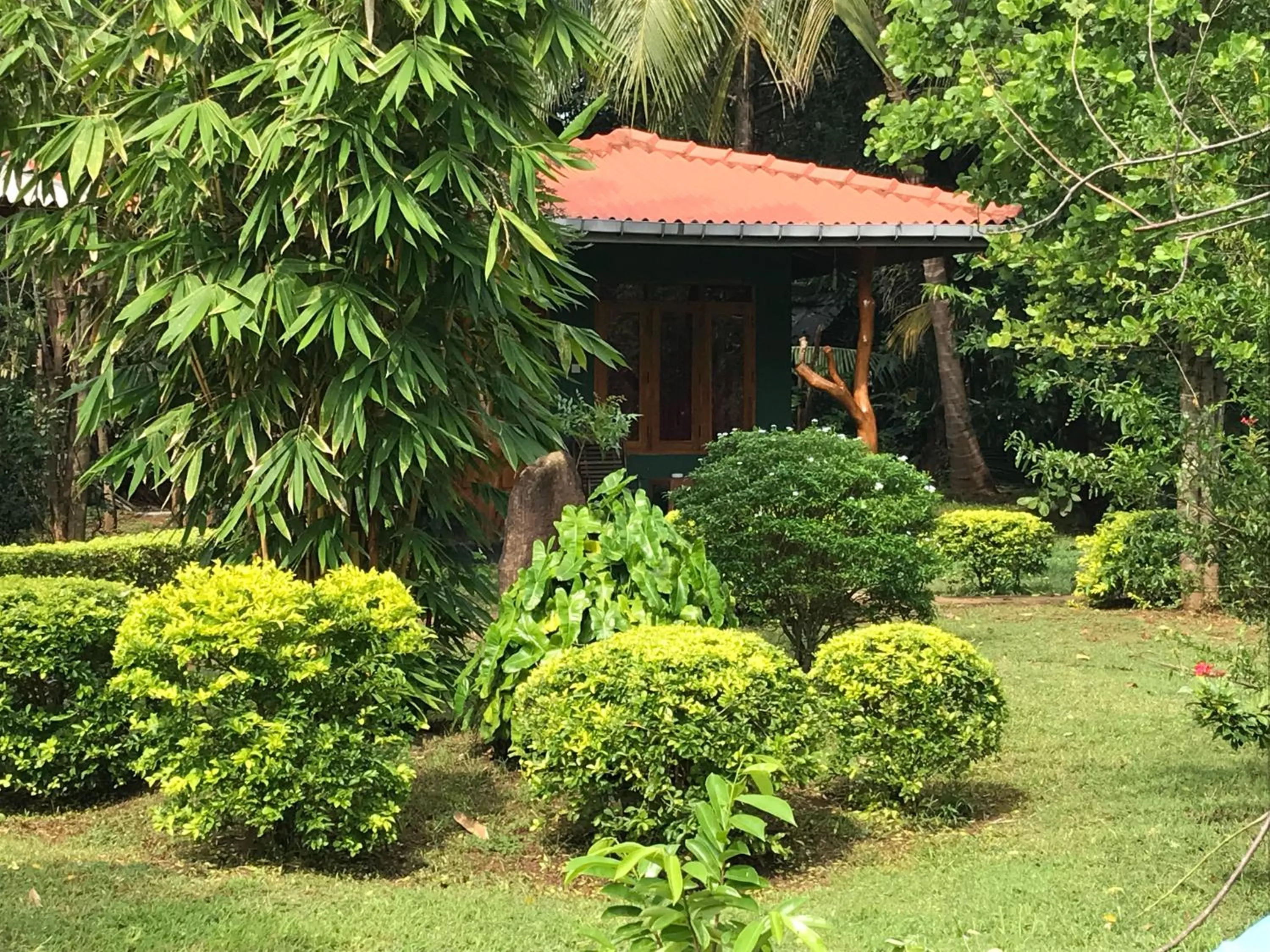 Property building in Liyon Rest sigiriya