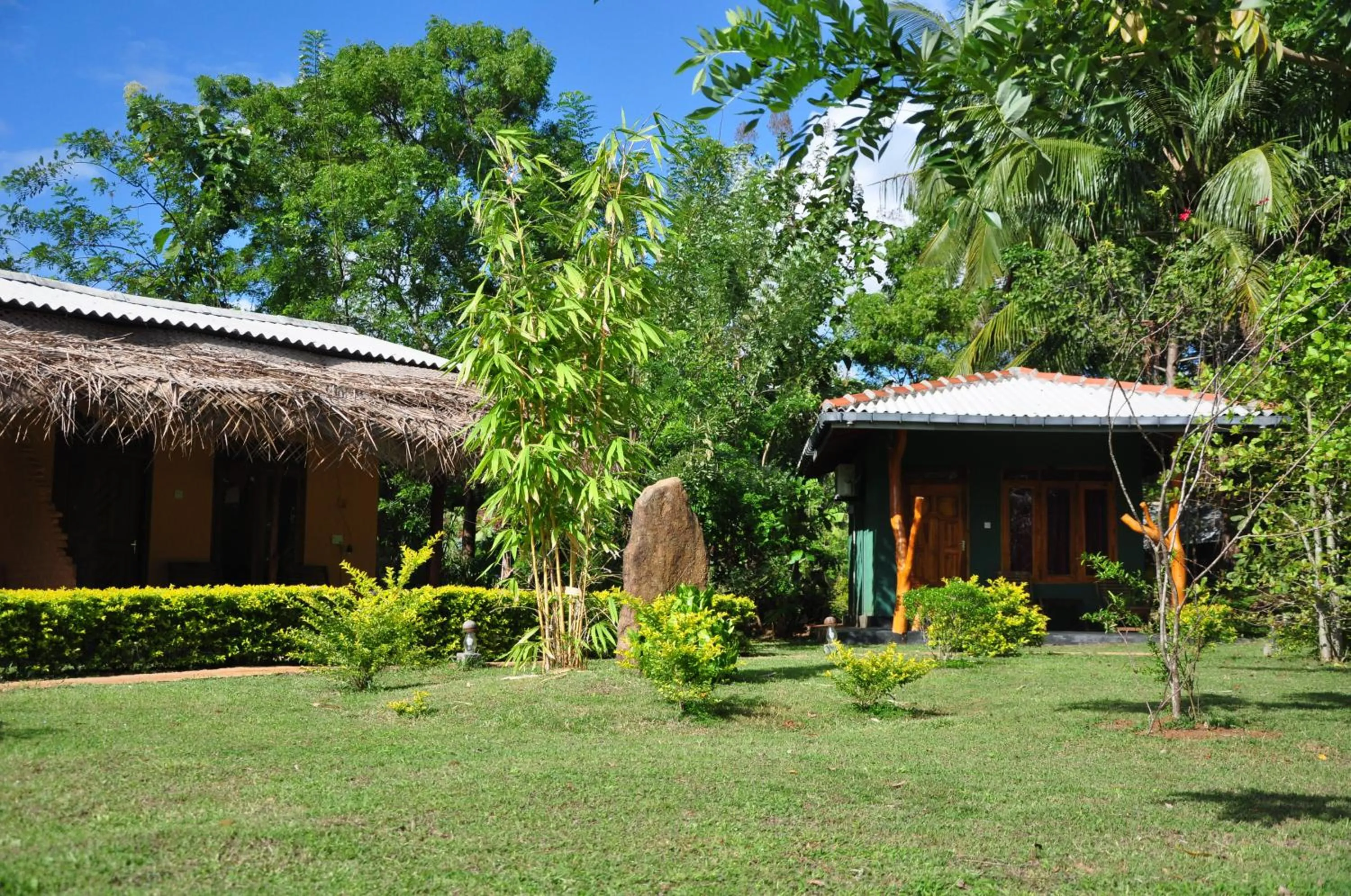 Garden in Liyon Rest sigiriya