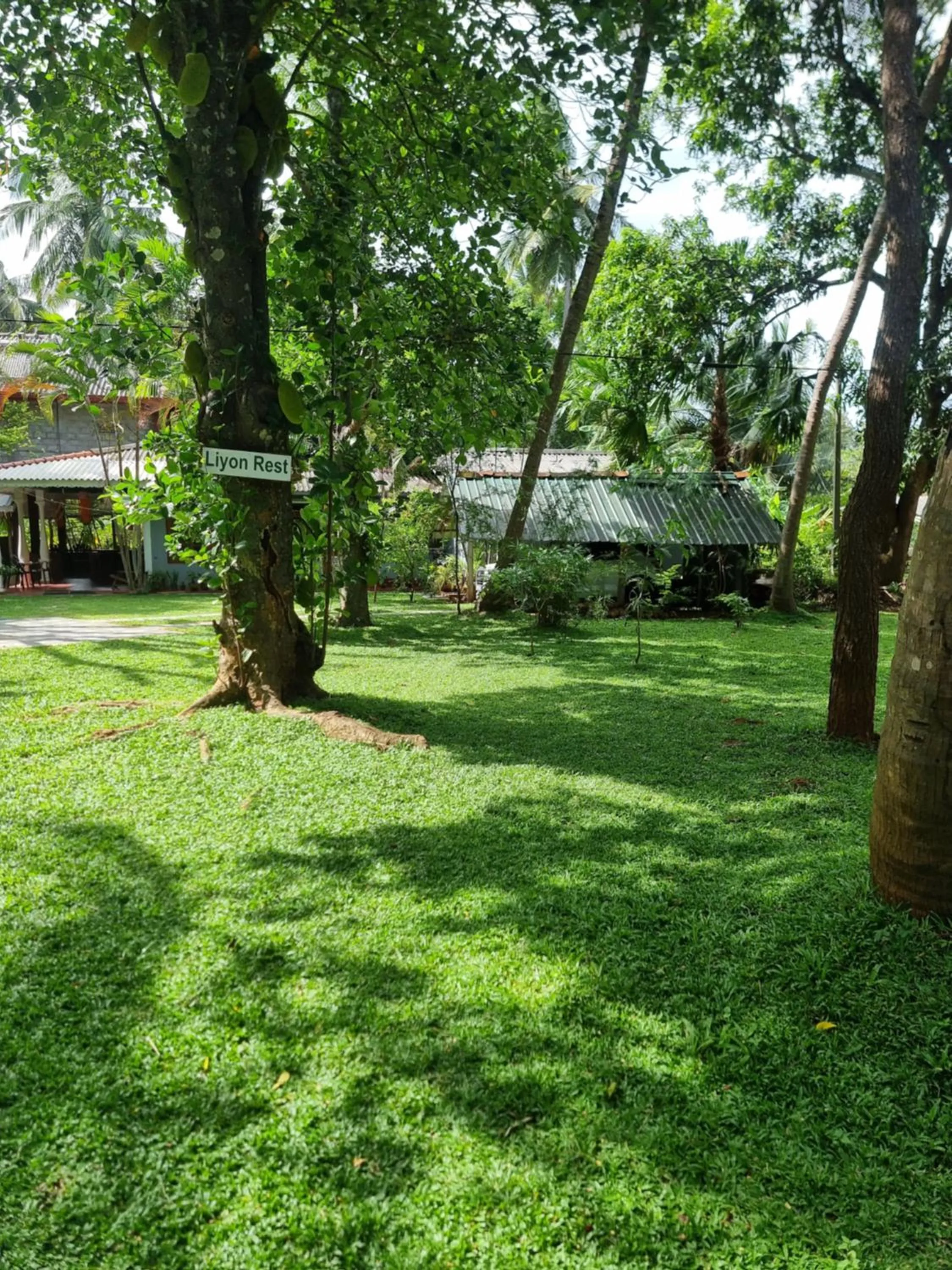 Garden in Liyon Rest sigiriya