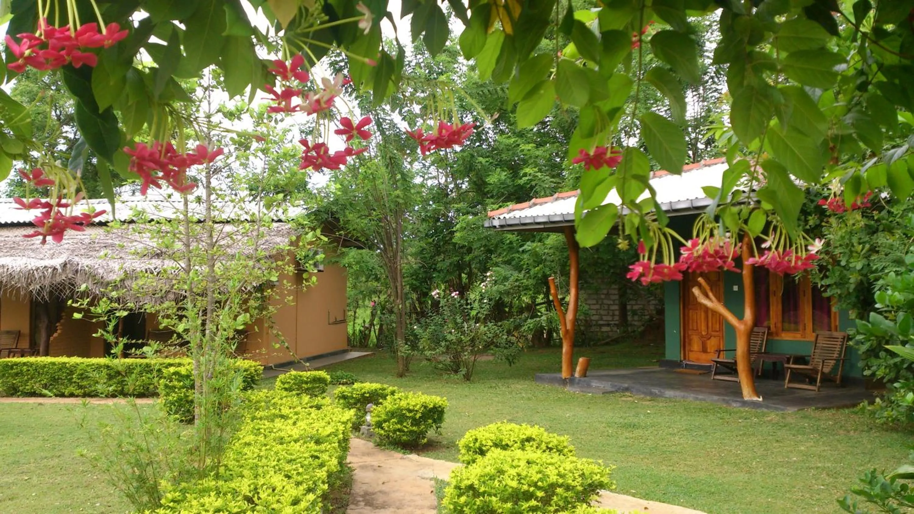 Property building in Liyon Rest sigiriya