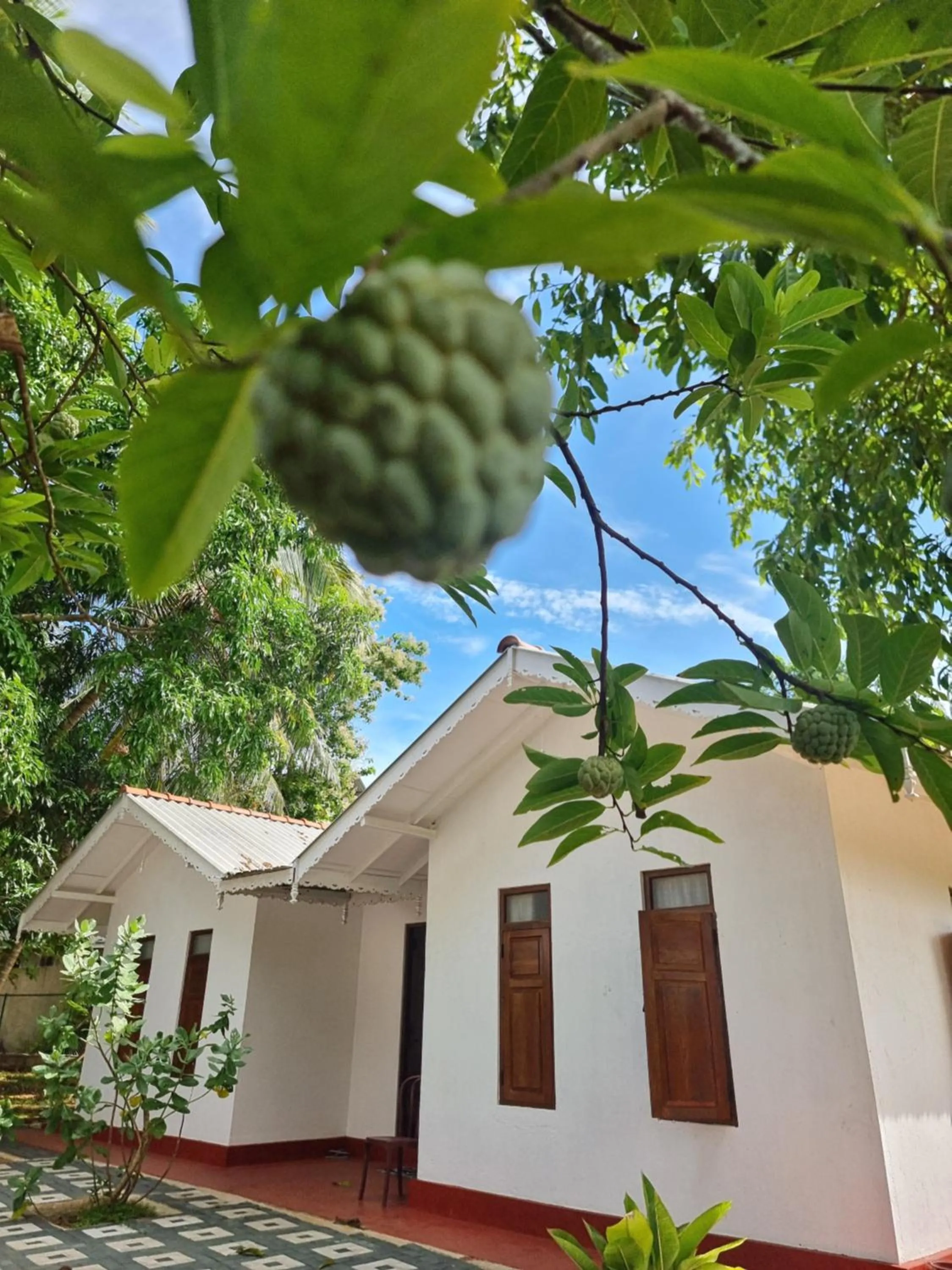 Property building in Liyon Rest sigiriya