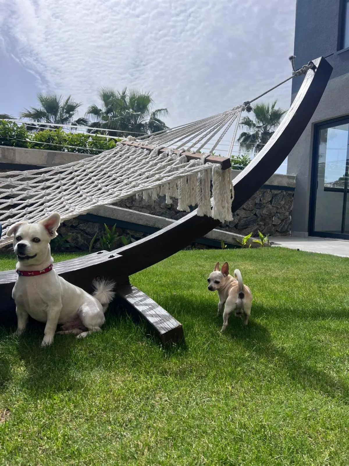 Property building in Ulu Panorama Residence