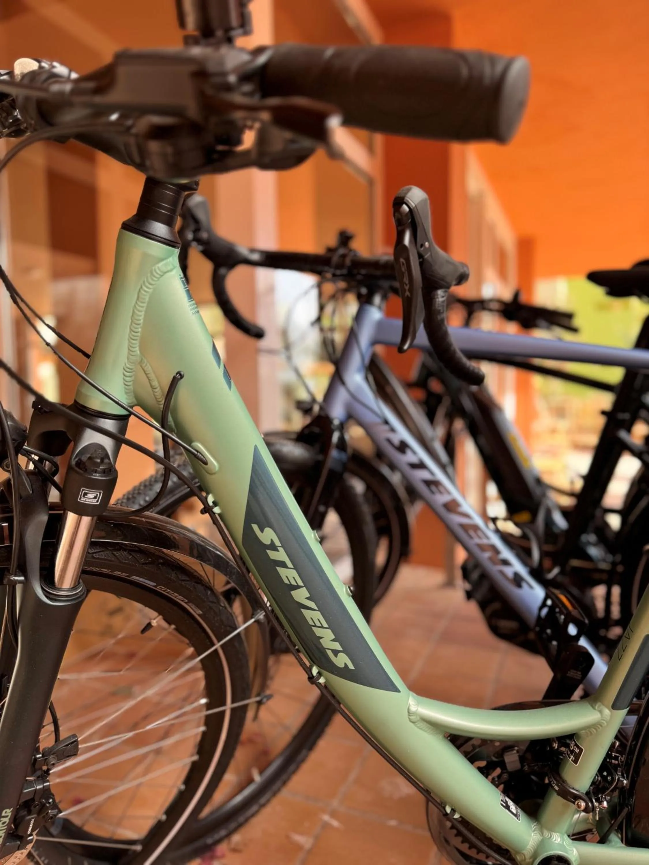 Activities in Bikini Island & Mountain Hotel Es Trenc -Adults only-