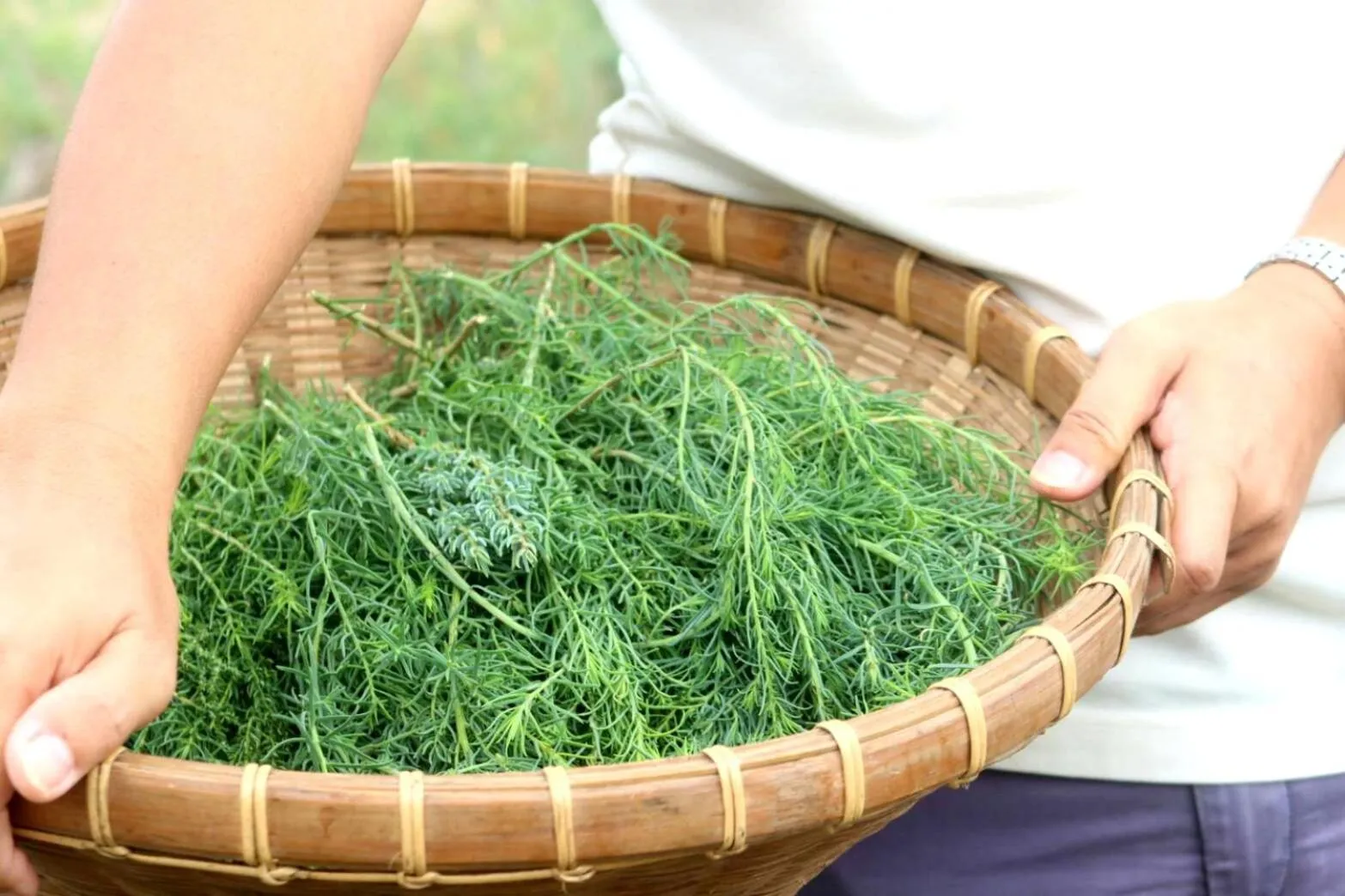 Ban Bang Home Resort