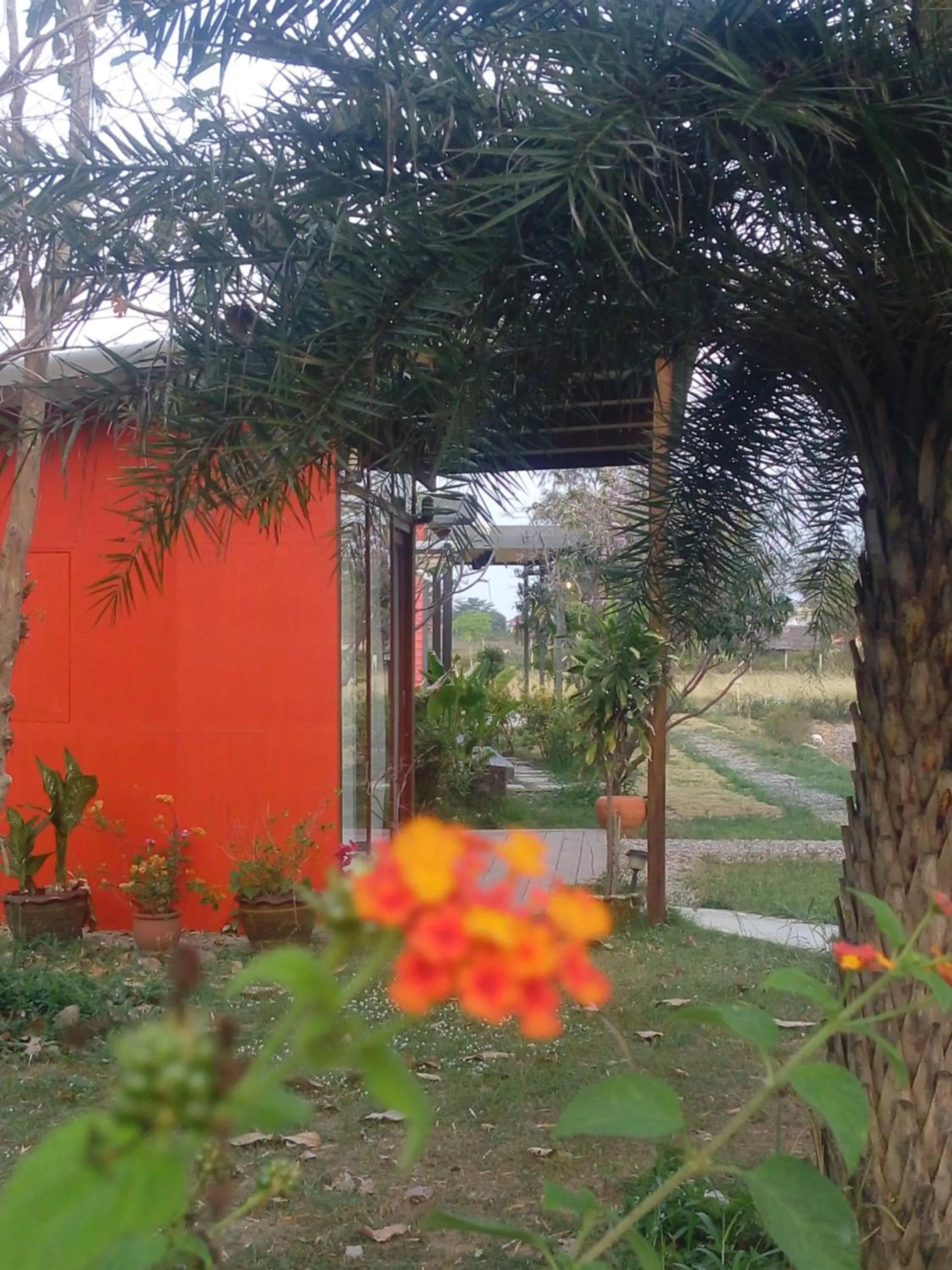 Natural landscape in Ban Bang Home Resort