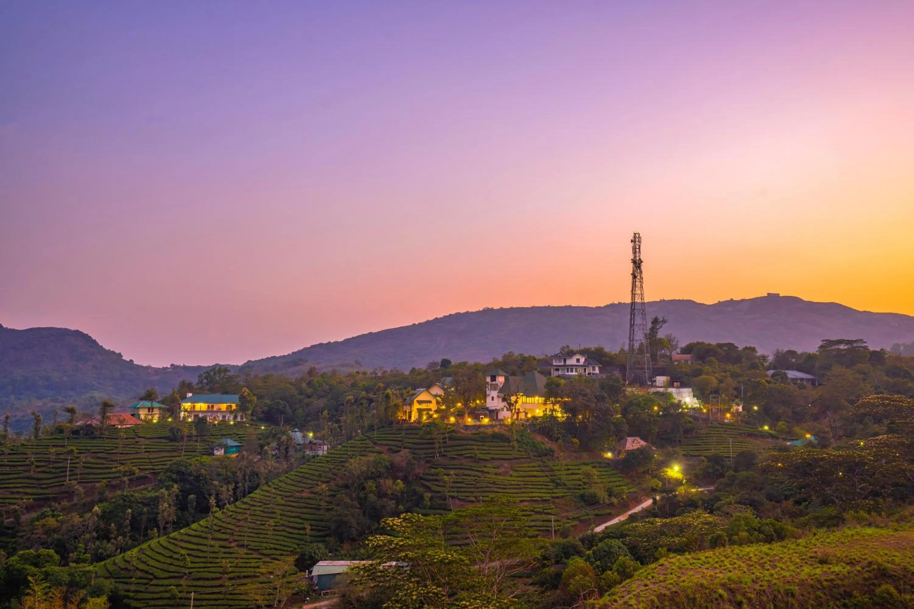 Natural landscape in Winter Vale Green Stay Resorts