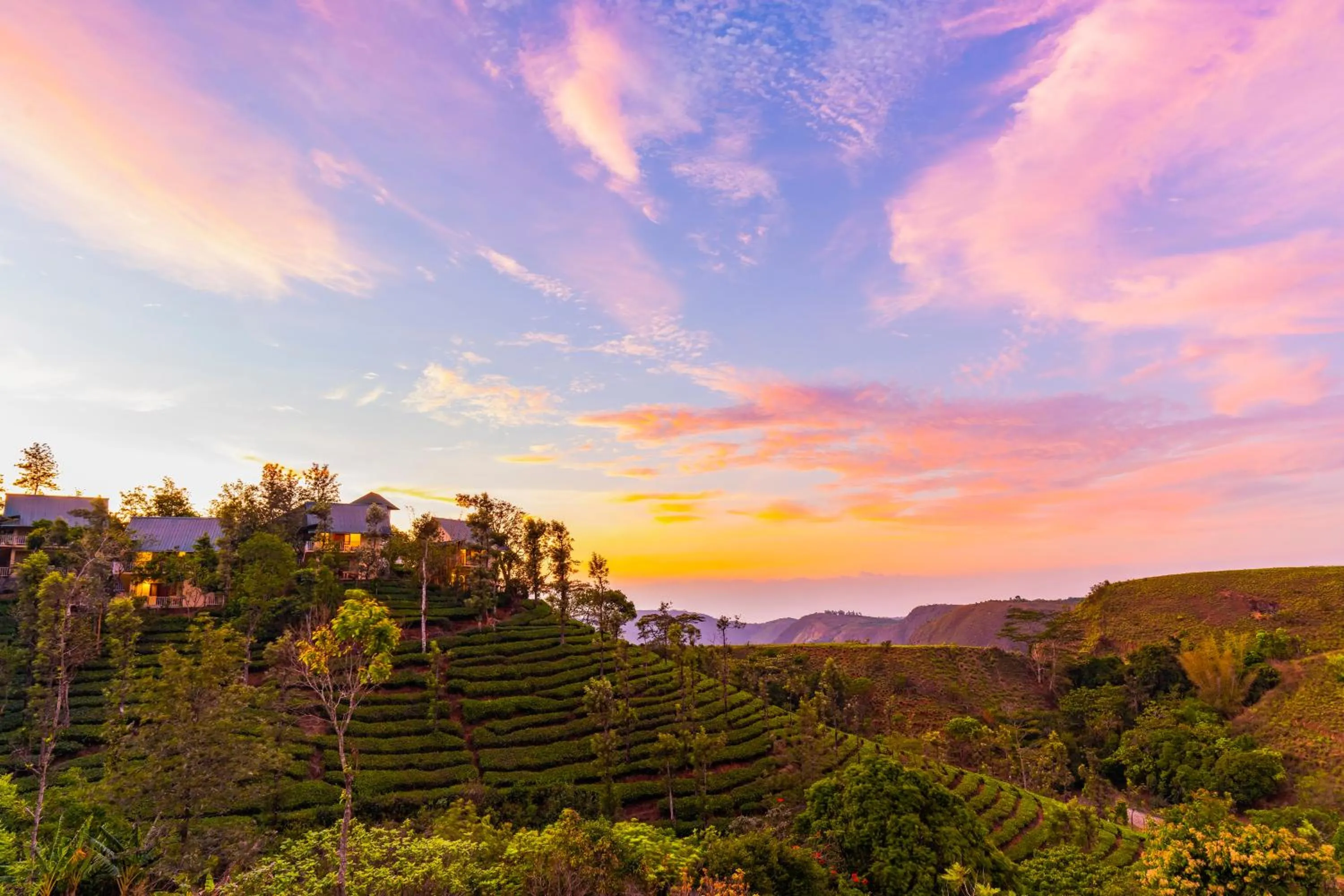 Natural landscape in Winter Vale Green Stay Resorts