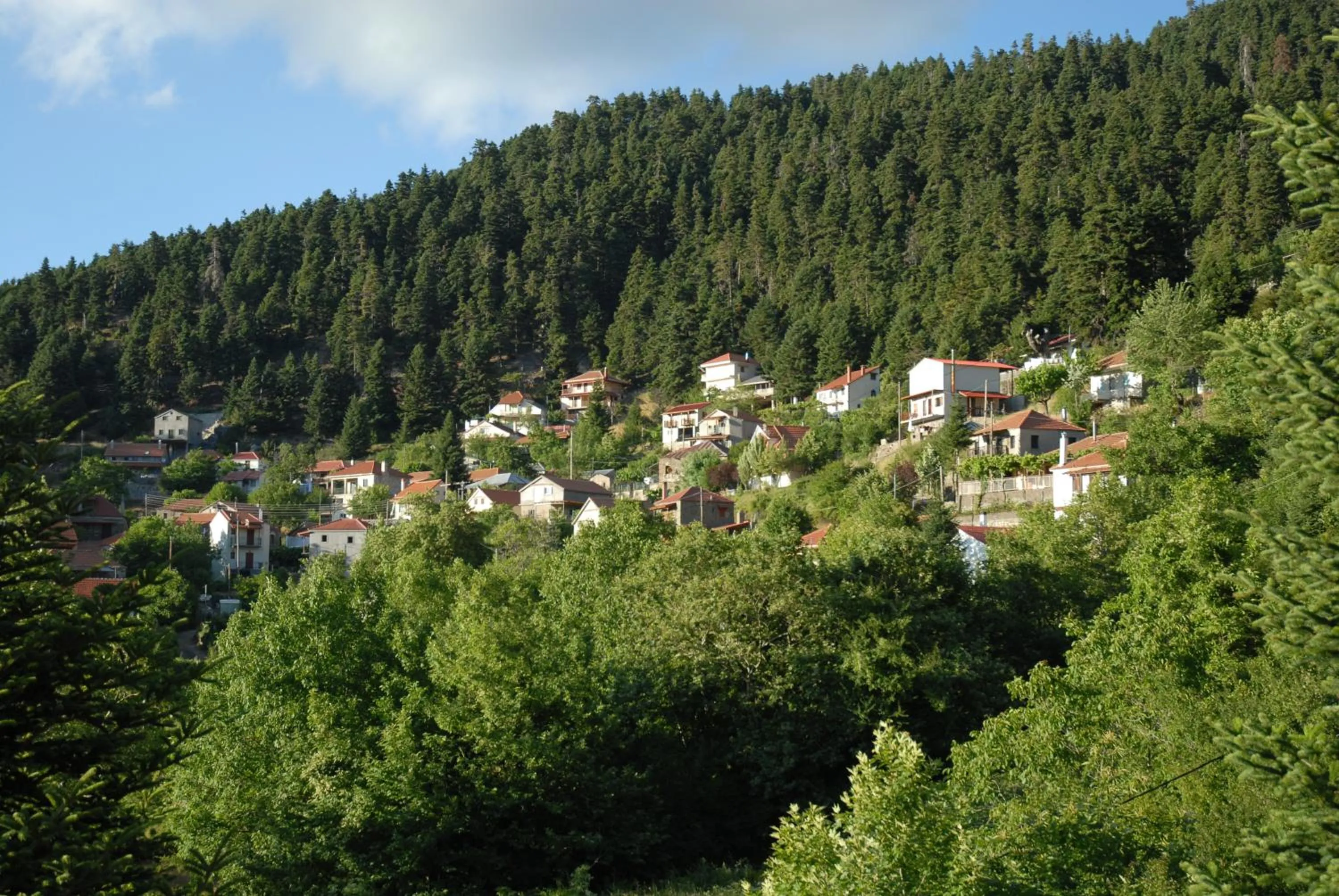 Natural landscape in Omalia Village