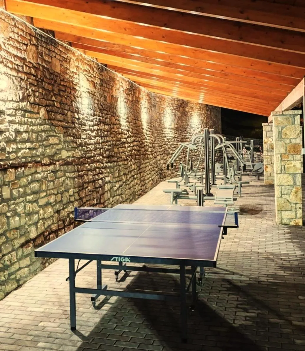 Table tennis in Omalia Village