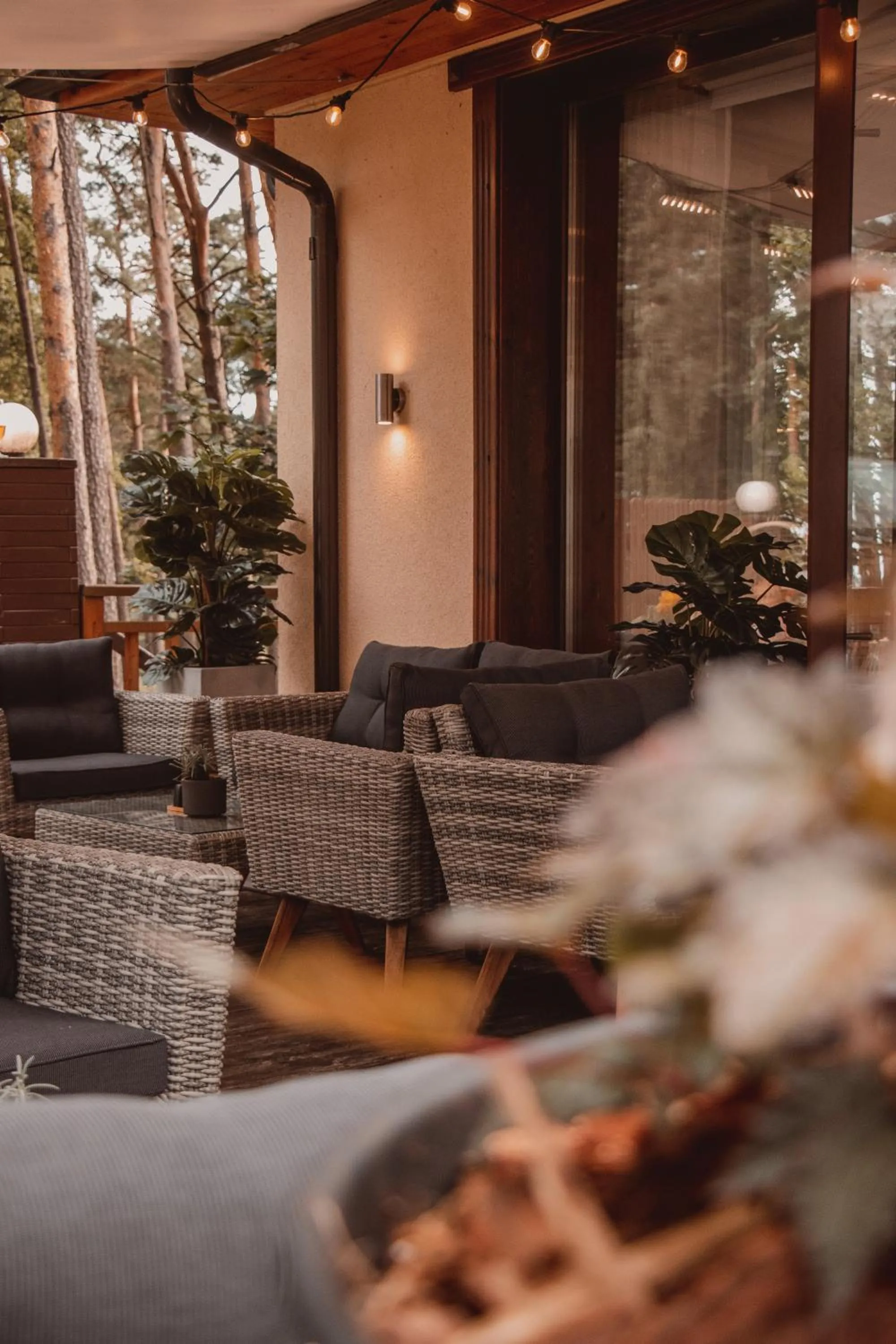 Property building in Vanaga Ligzda