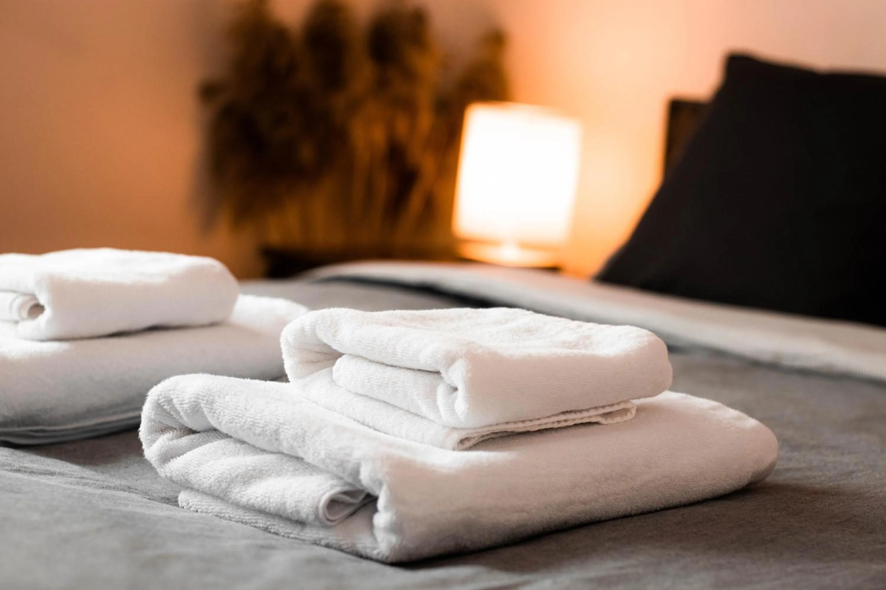 Bed in Vanaga Ligzda