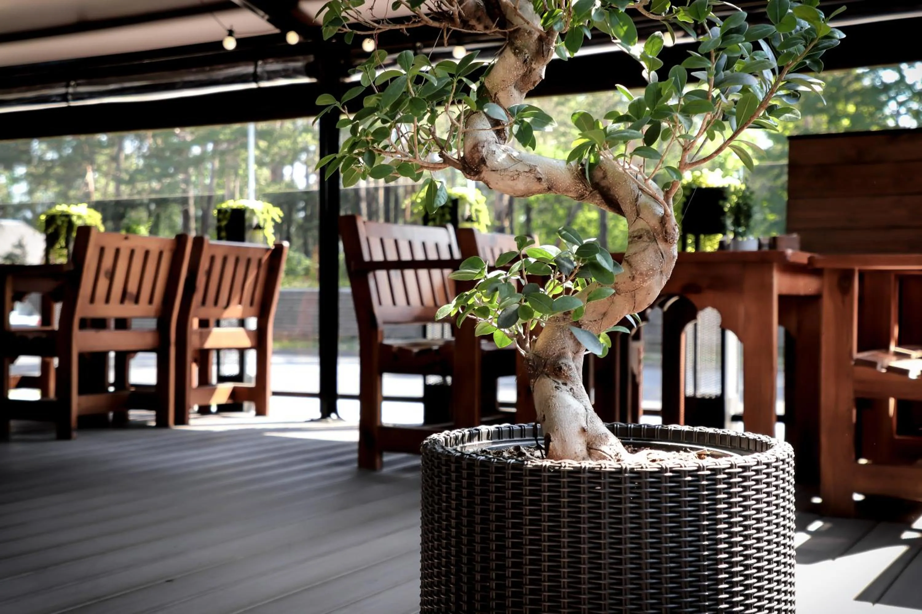 Patio in Vanaga Ligzda