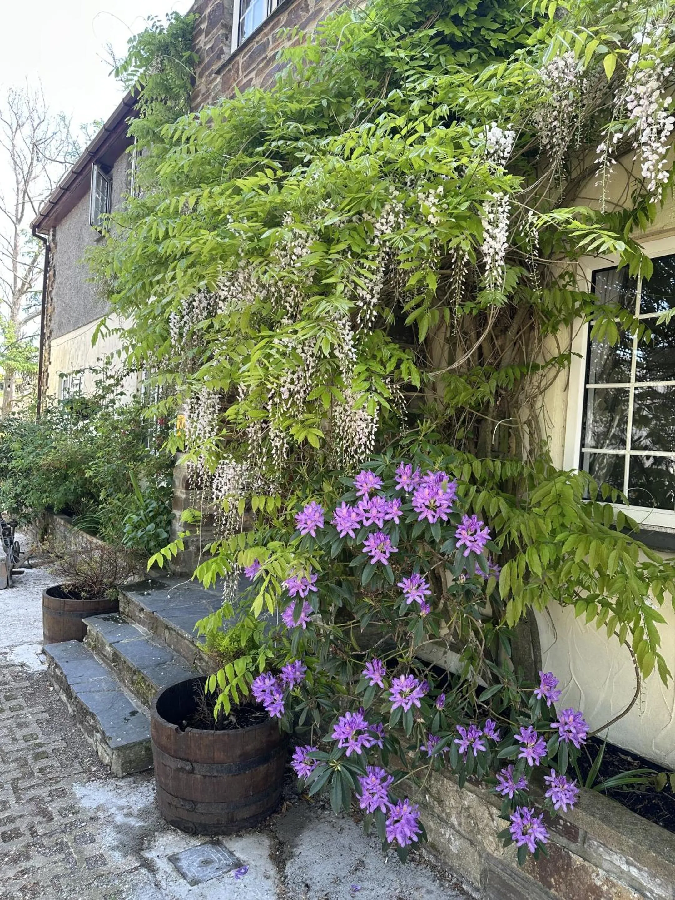 Garden in The Crooked Inn